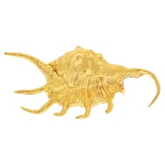 David Webb 18k Yellow Gold Conch Brooch