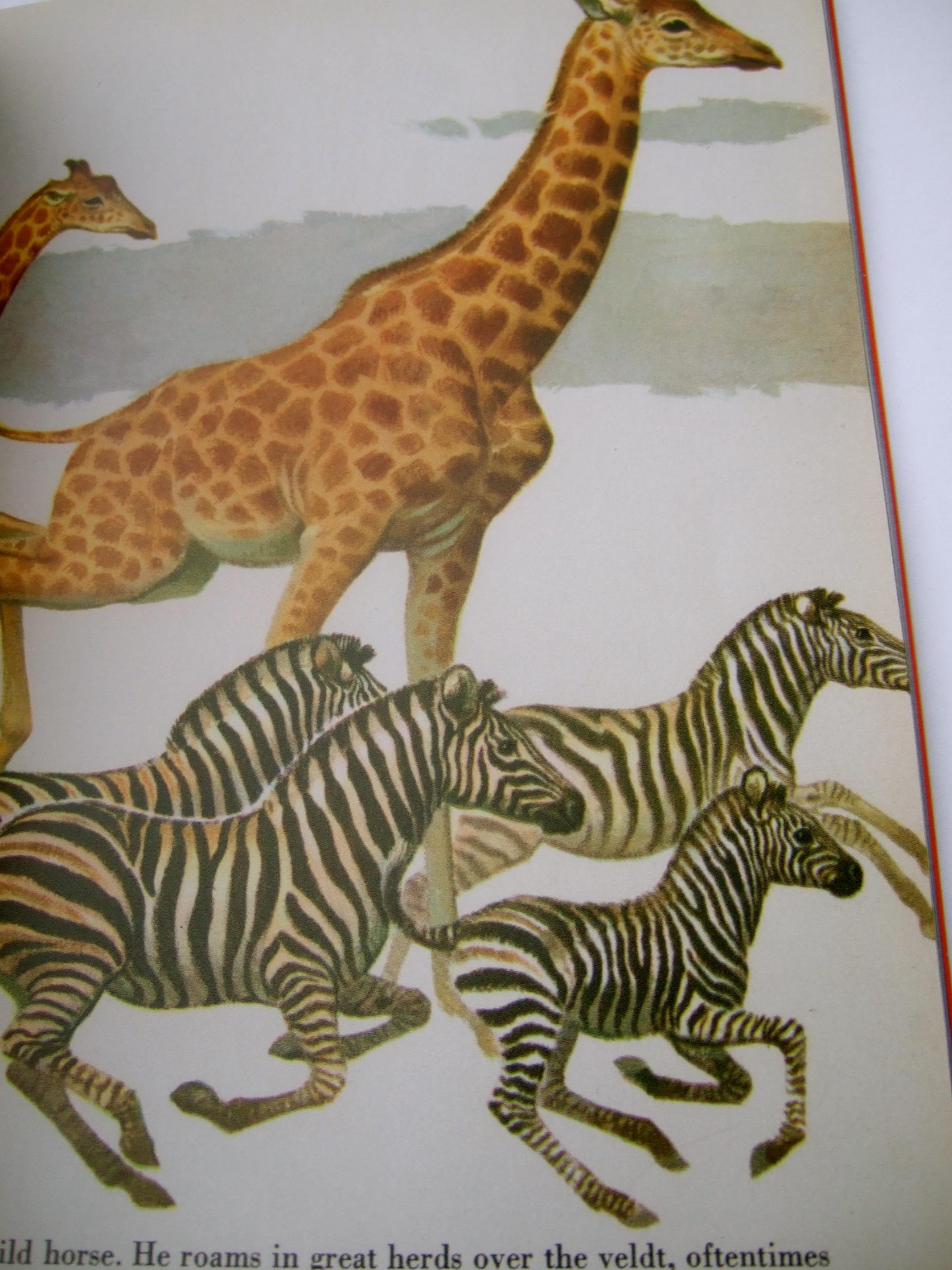 David Webb A Walk in the Woods Artful Animals Exhibition Pamphlet Book c 2022  For Sale 13