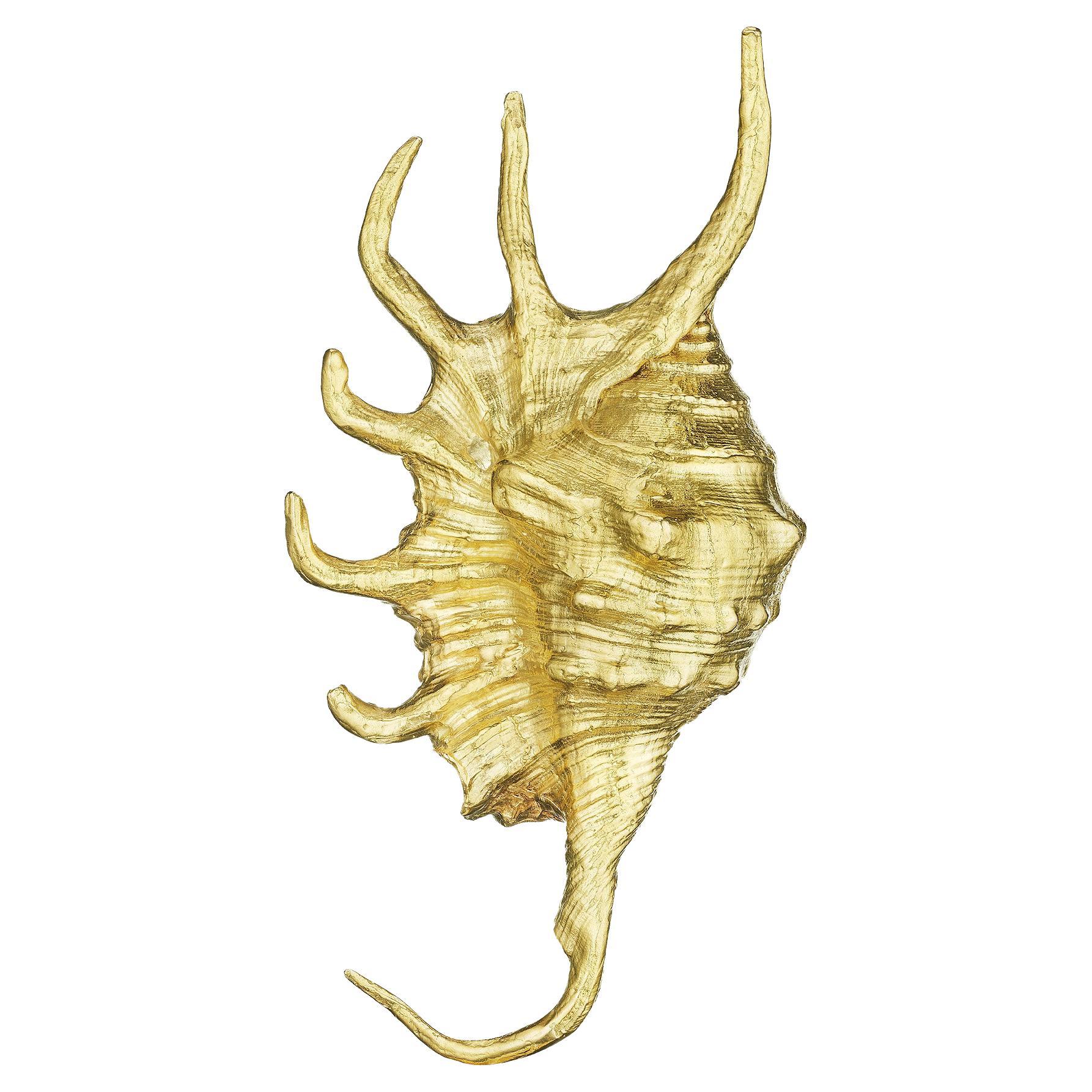 David Webb Gold Seashell Brooch at 1stDibs