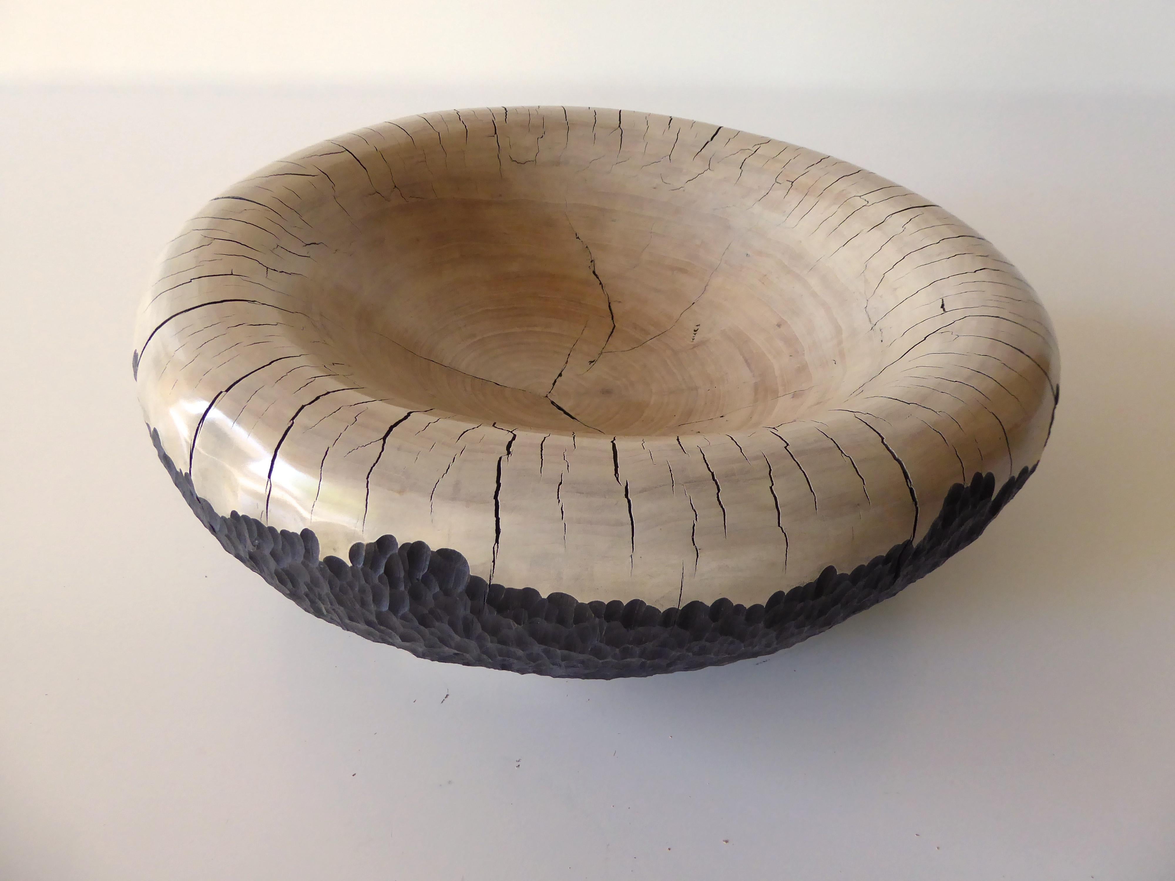 A carved solid cottonwood vessel by contemporary American artist Daniel Pollock. The artist has carved the vessel into a hollowed-out bowl shape and he has accentuated the exterior by naturalistically chip carving the sides. The interior of the