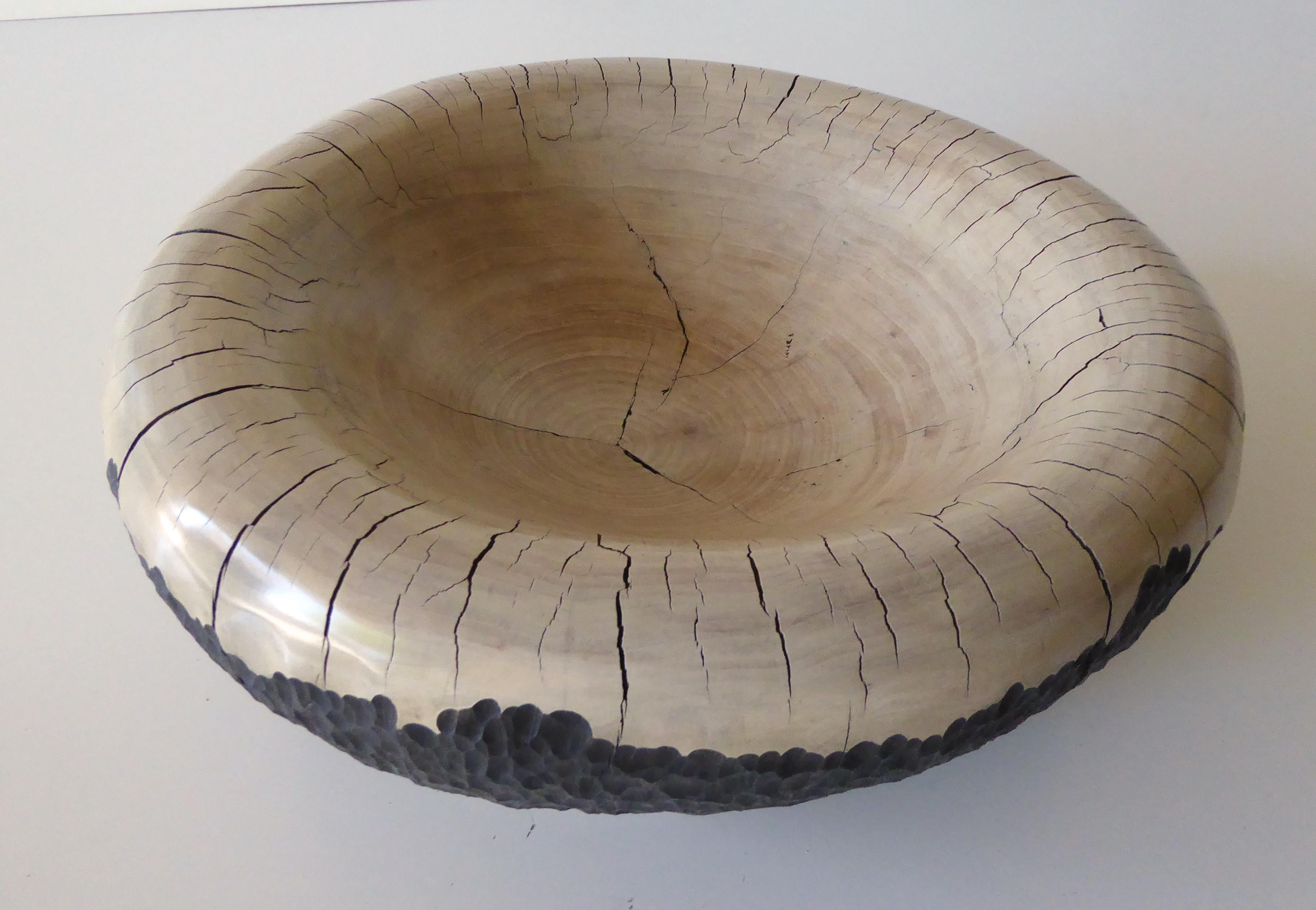 Reclaimed Wood Carved Organic Vessel by Contemporary American Artist Daniel Pollock