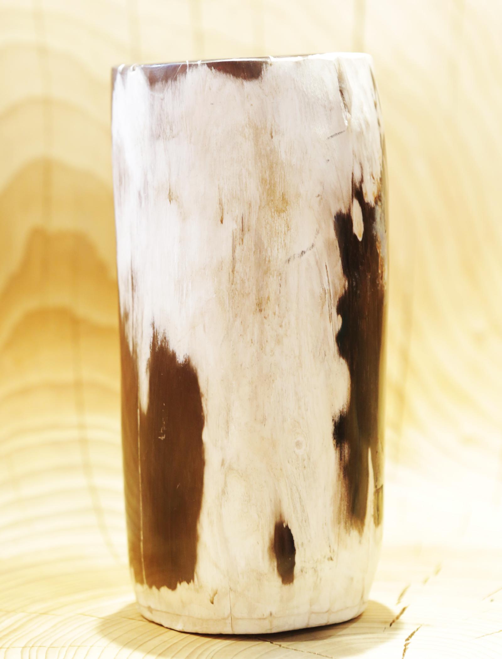 Small Petrified Wood A Column For Sale 2