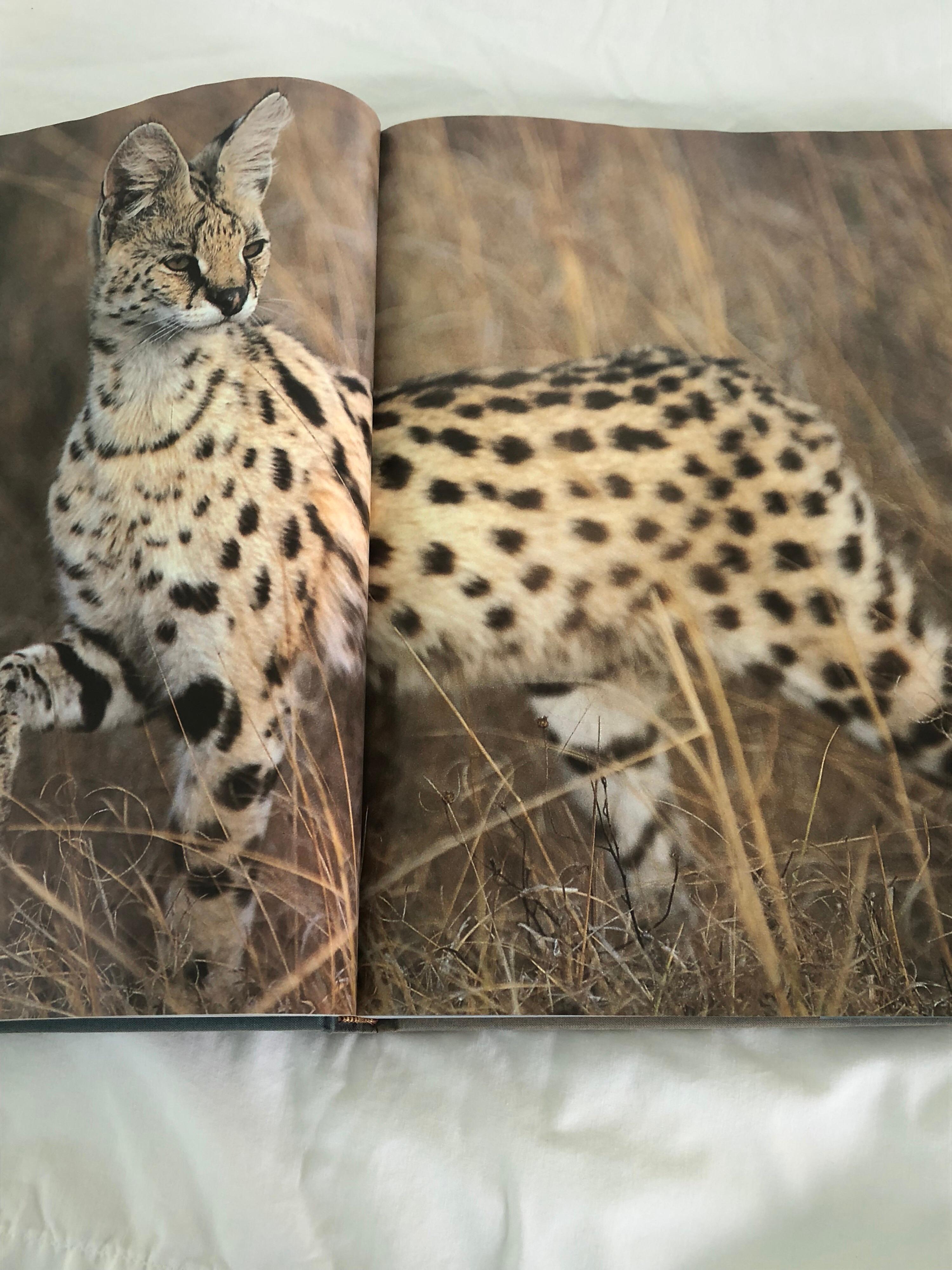 Ngorongoro by Reinhard Kunkel 1992 Edition Harper Collins For Sale 2