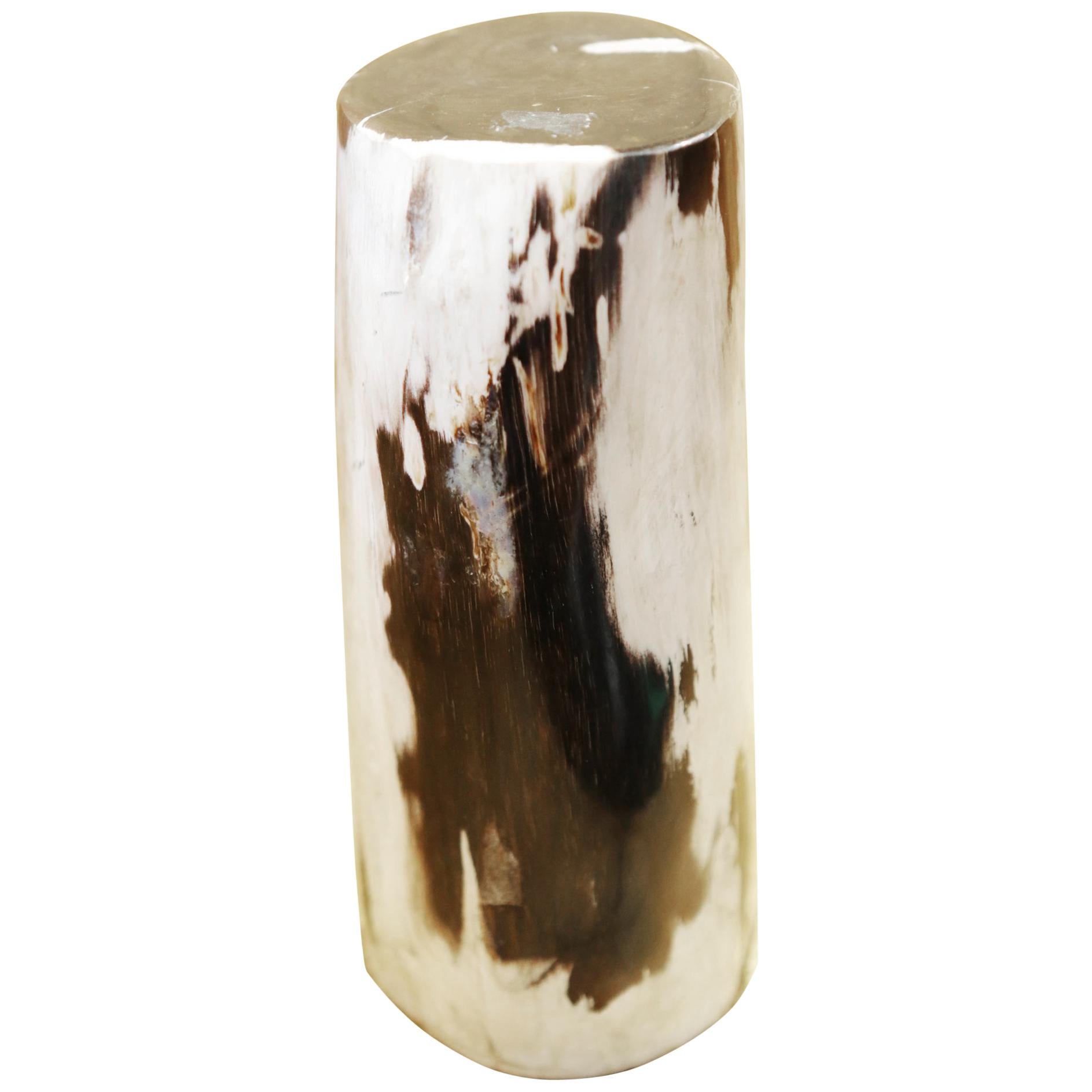 Small Petrified Wood A Column For Sale