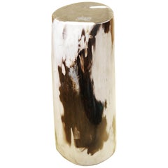 Small Petrified Wood A Column