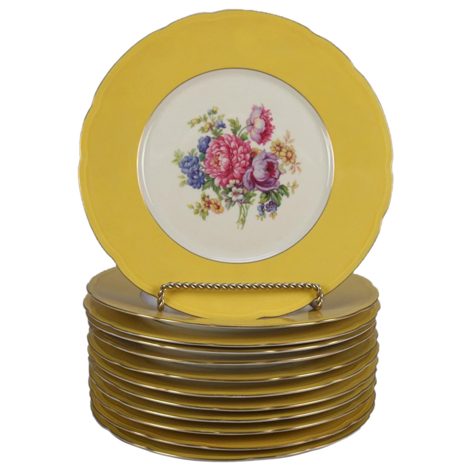 12 Vintage Czech Bohemian F&R Baronet Fine China Floral Dinner Plates