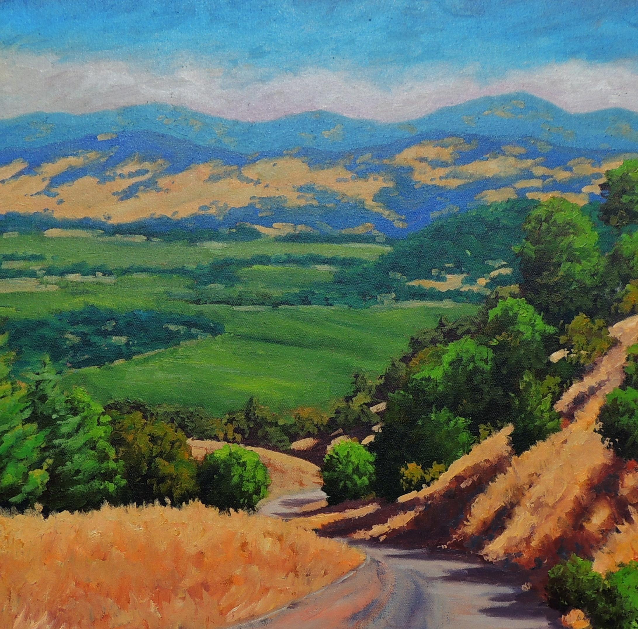 Steven Guy Bilodeau Napa Valley from Oakville Grade For Sale at 1stDibs
