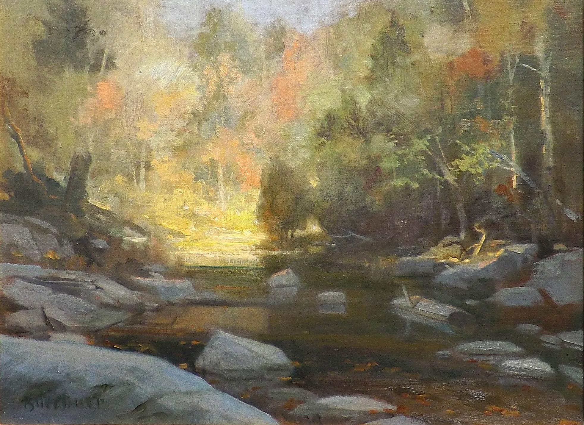 A wonderfully painted scene of a lazy stream flowing through a wooded landscape, the touch of autumn apparent in the trees. Early fallen leaves float gently in the shadow while an opening in the canopy allows the fall sunlight to illuminate the