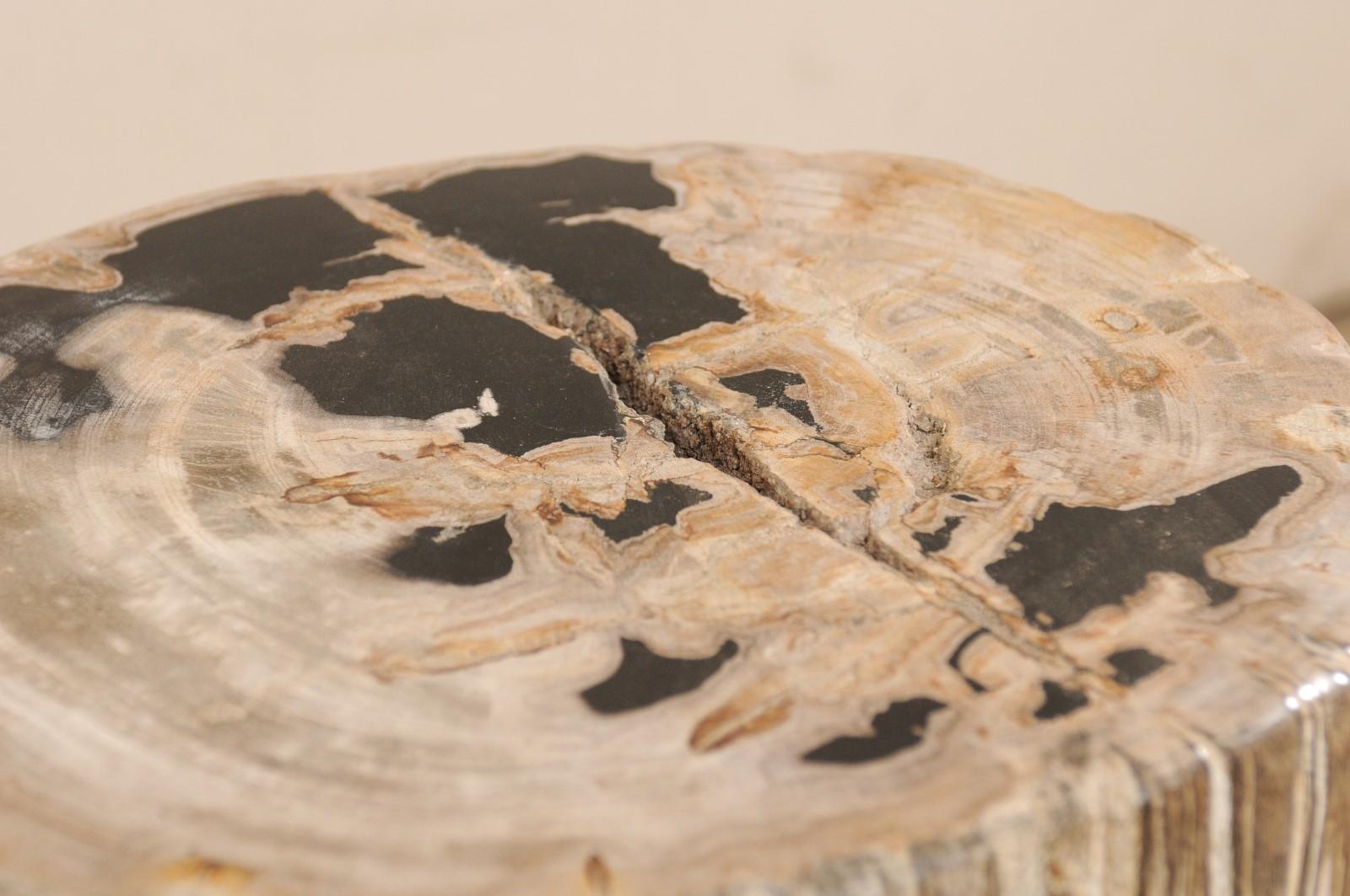 Pair of Petrified Wood Side Tables or Stools in Beautiful Cream and Black Colors 4