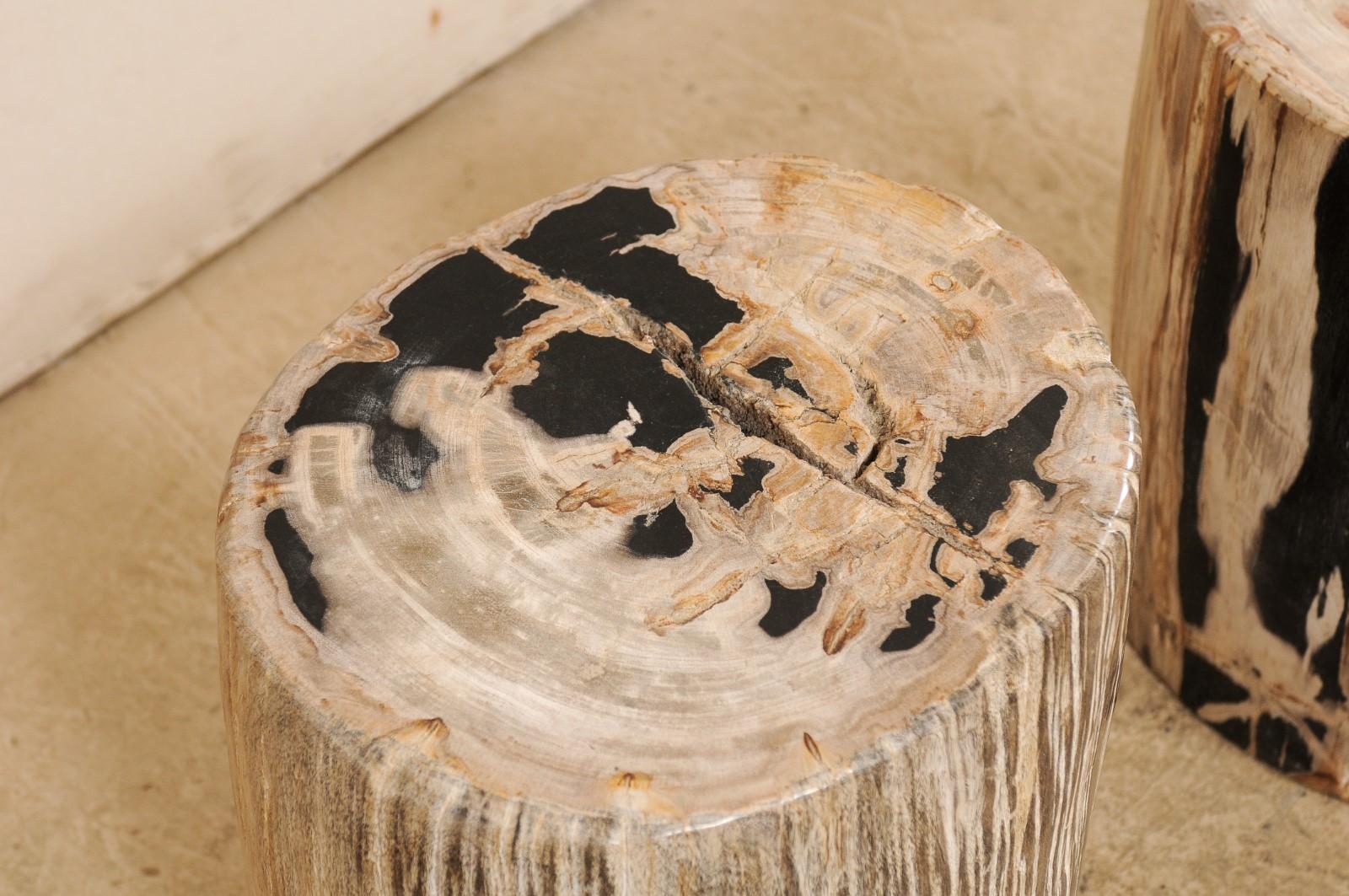 Pair of Petrified Wood Side Tables or Stools in Beautiful Cream and Black Colors 5