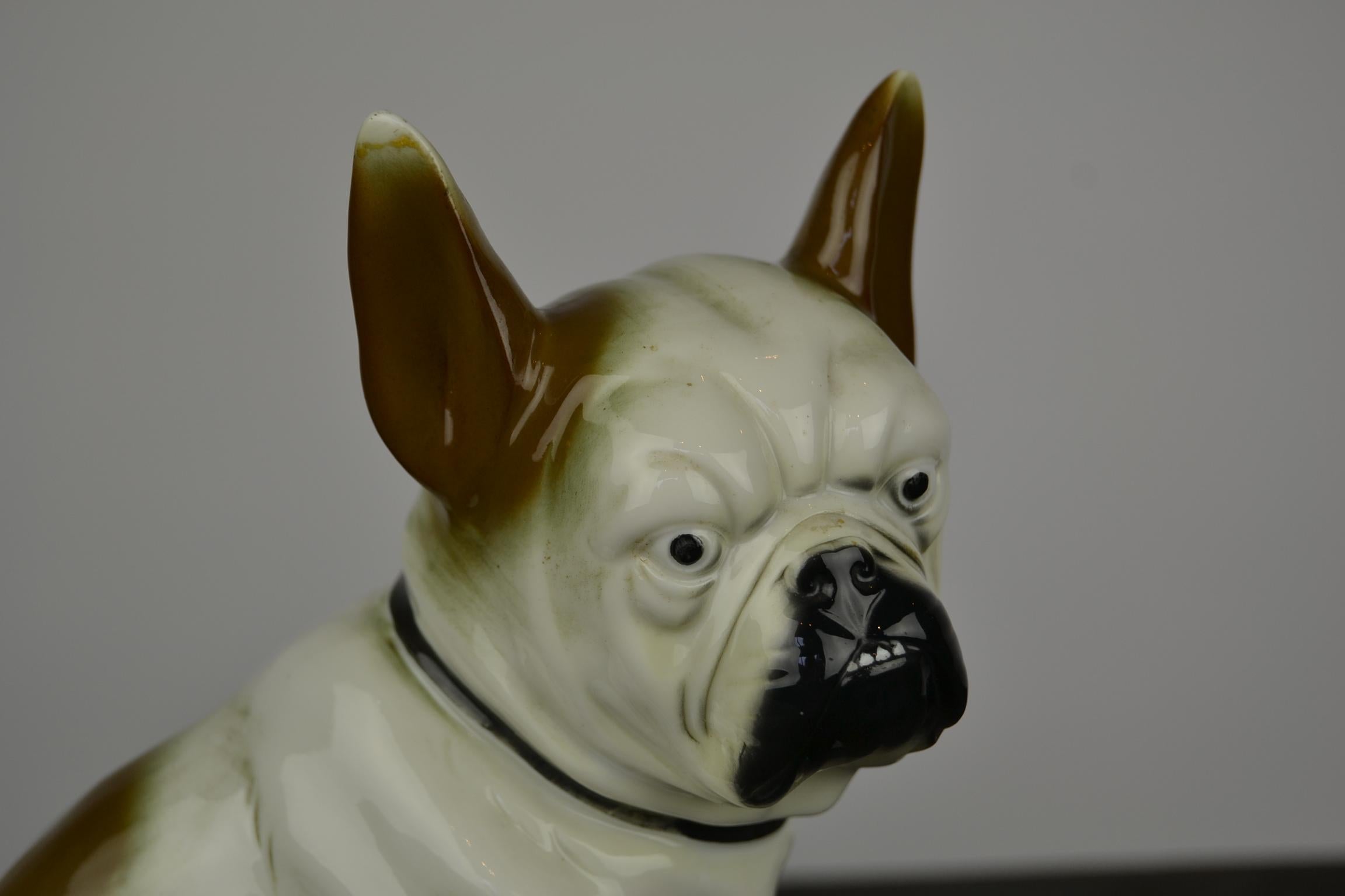 Porcelain French Bulldog Sculpture, Sitzendorf Germany, 1930s For Sale 4