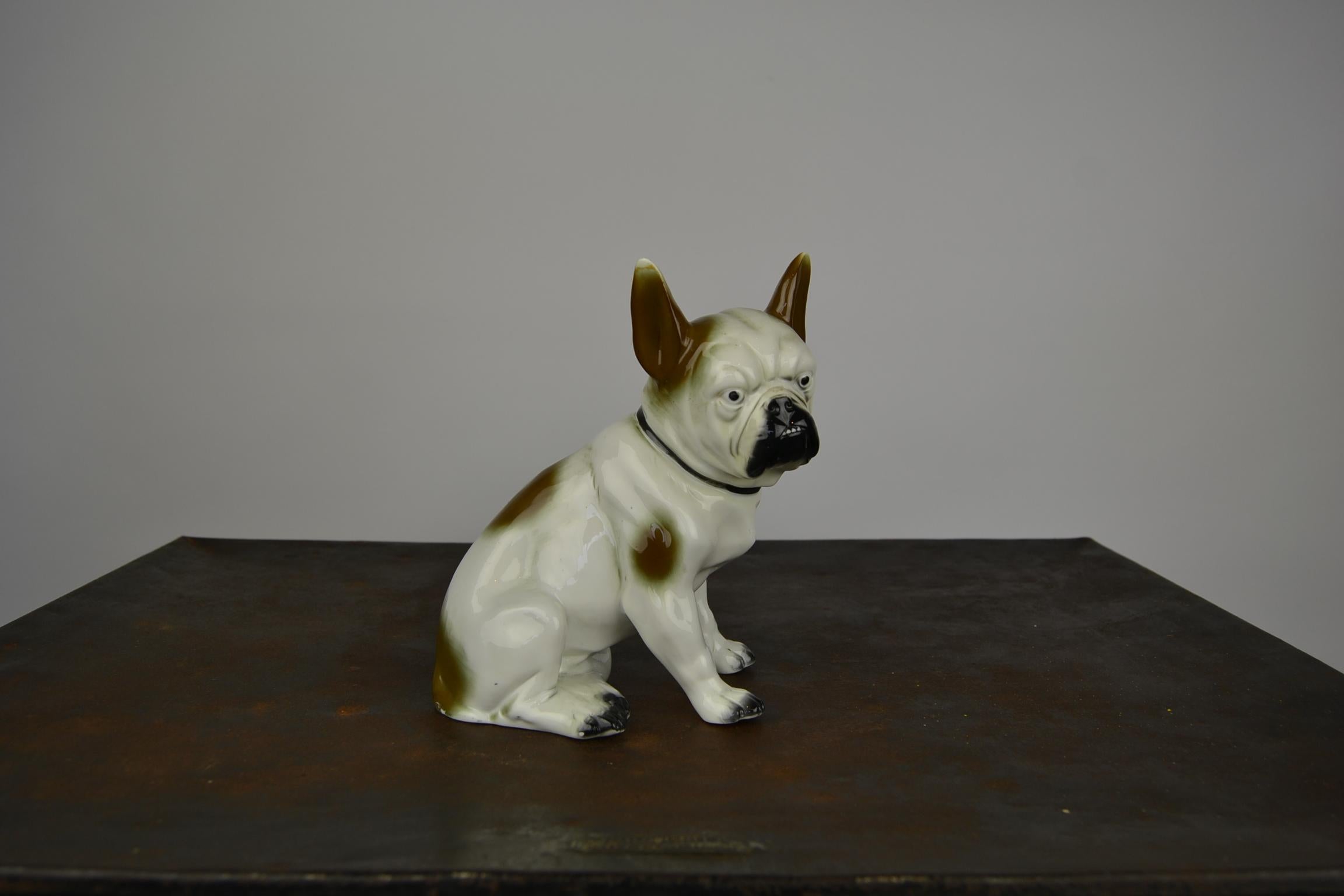 Porcelain French Bulldog Sculpture, Sitzendorf Germany, 1930s For Sale 7