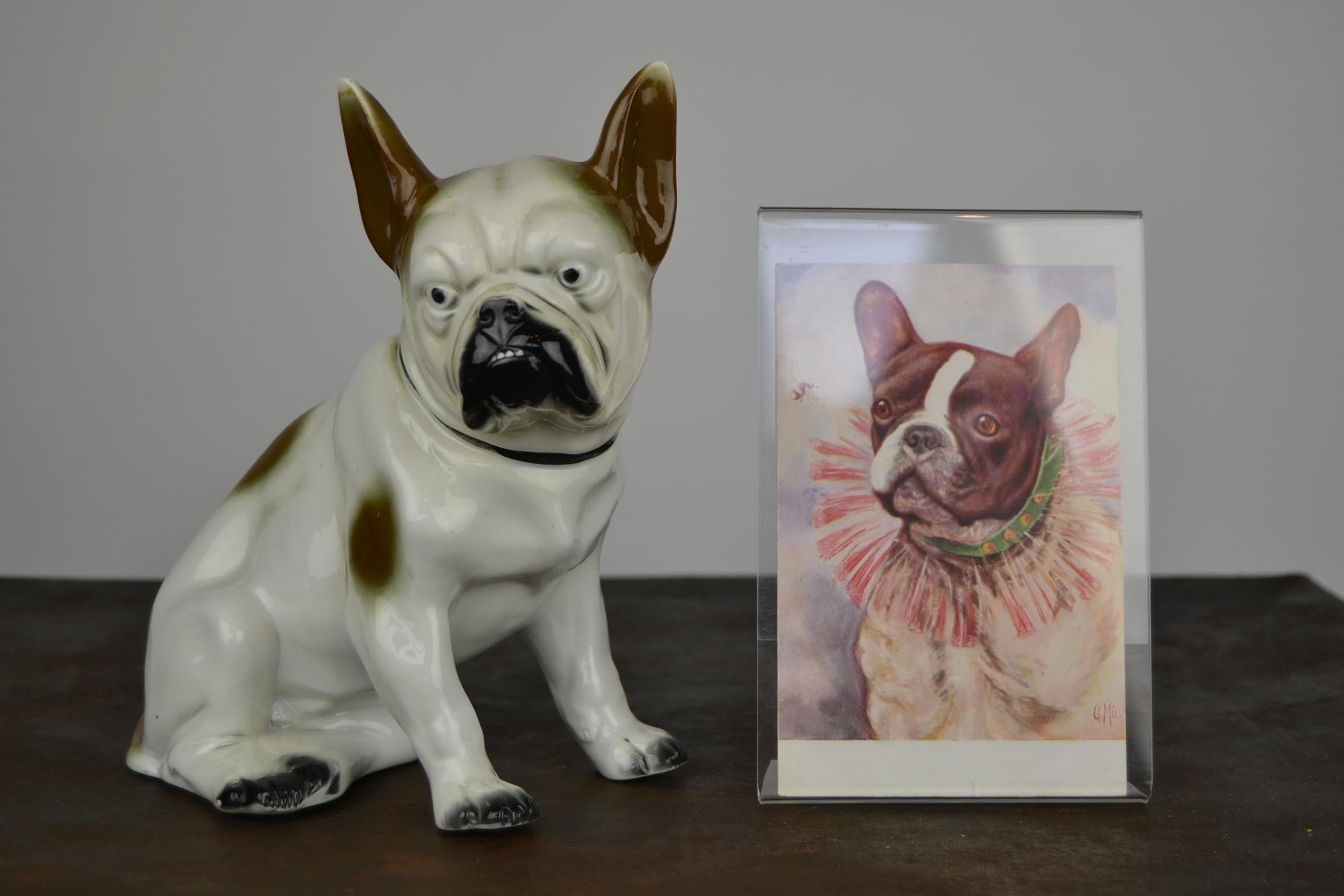 Porcelain French Bulldog Sculpture, Sitzendorf Germany, 1930s For Sale 8