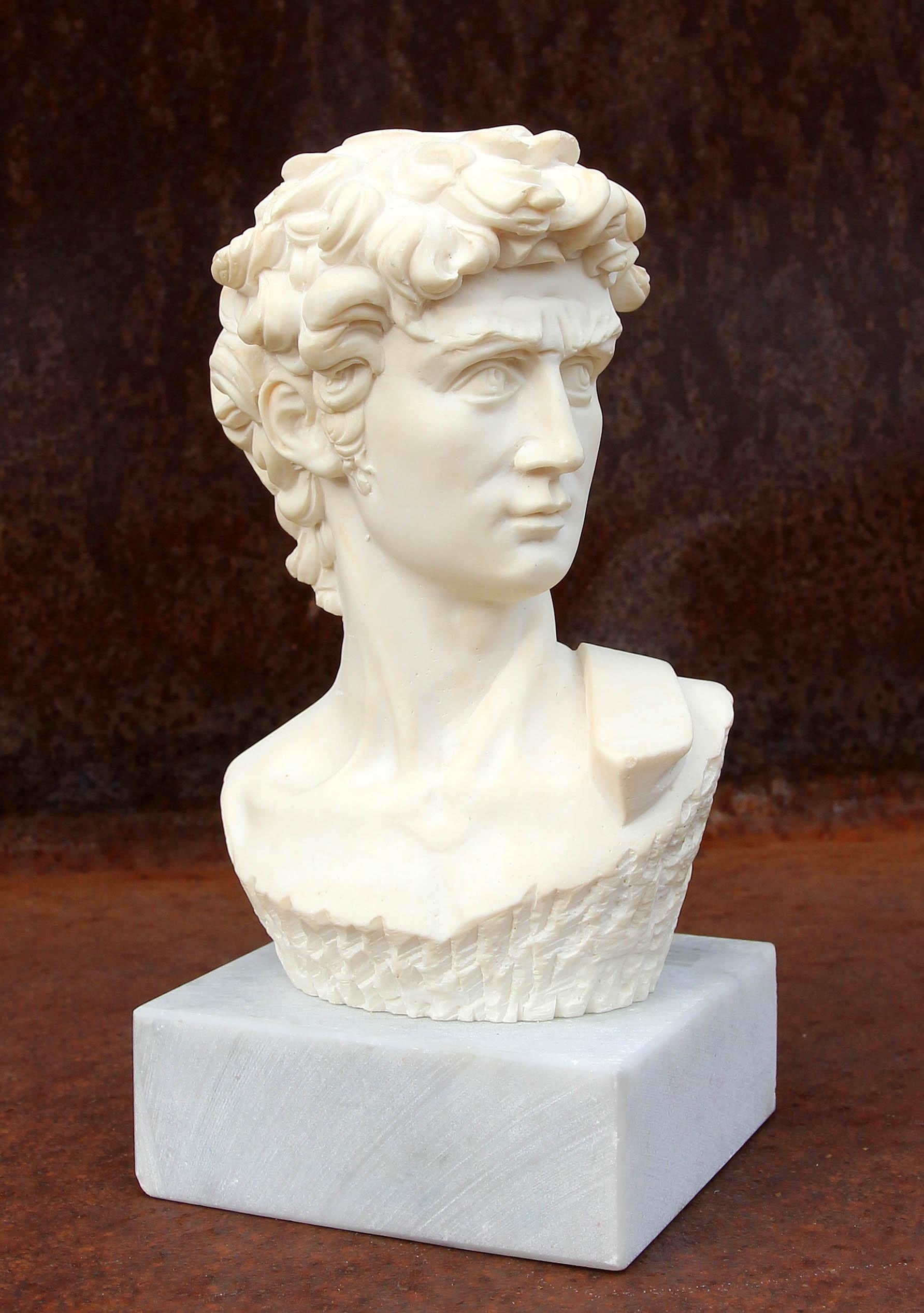 Cast stone bust of David after Michelangelo on marble base.