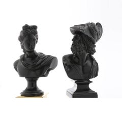 Fine Pair of Grand Tour Classical Portrait Busts of Menelaus and Apollo