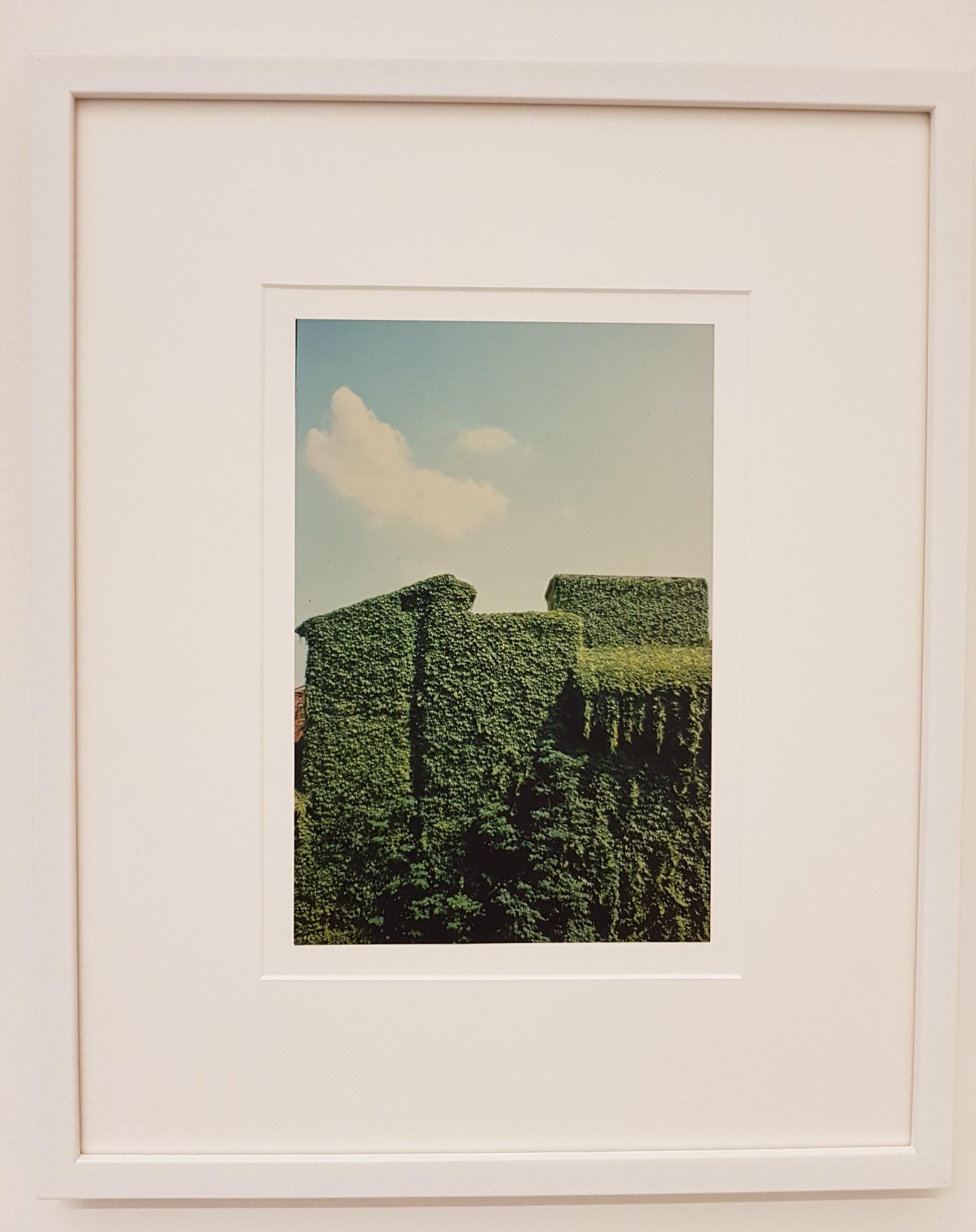 Ferrara 1981, From the series Topographie – Iconographie (1978-1982) 
Dimensions: cm 23.2 x cm 15.7, opaque without border

Luigi Ghirri is born on January 5, 1943 in Scandiano, near Reggio Emilia. Life in the province of Emilia-Romagna, Italy’s