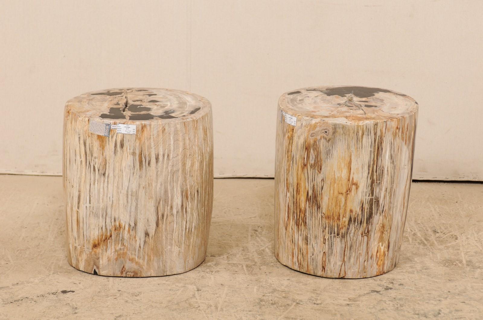 A pair of petrified wood drinks tables (or stools). This pair of petrified wood pedestal tables each have smoothly polished top and sides. The color palette is a beautiful mixture of bone, various shades of brown, and black. Petrified wood is a