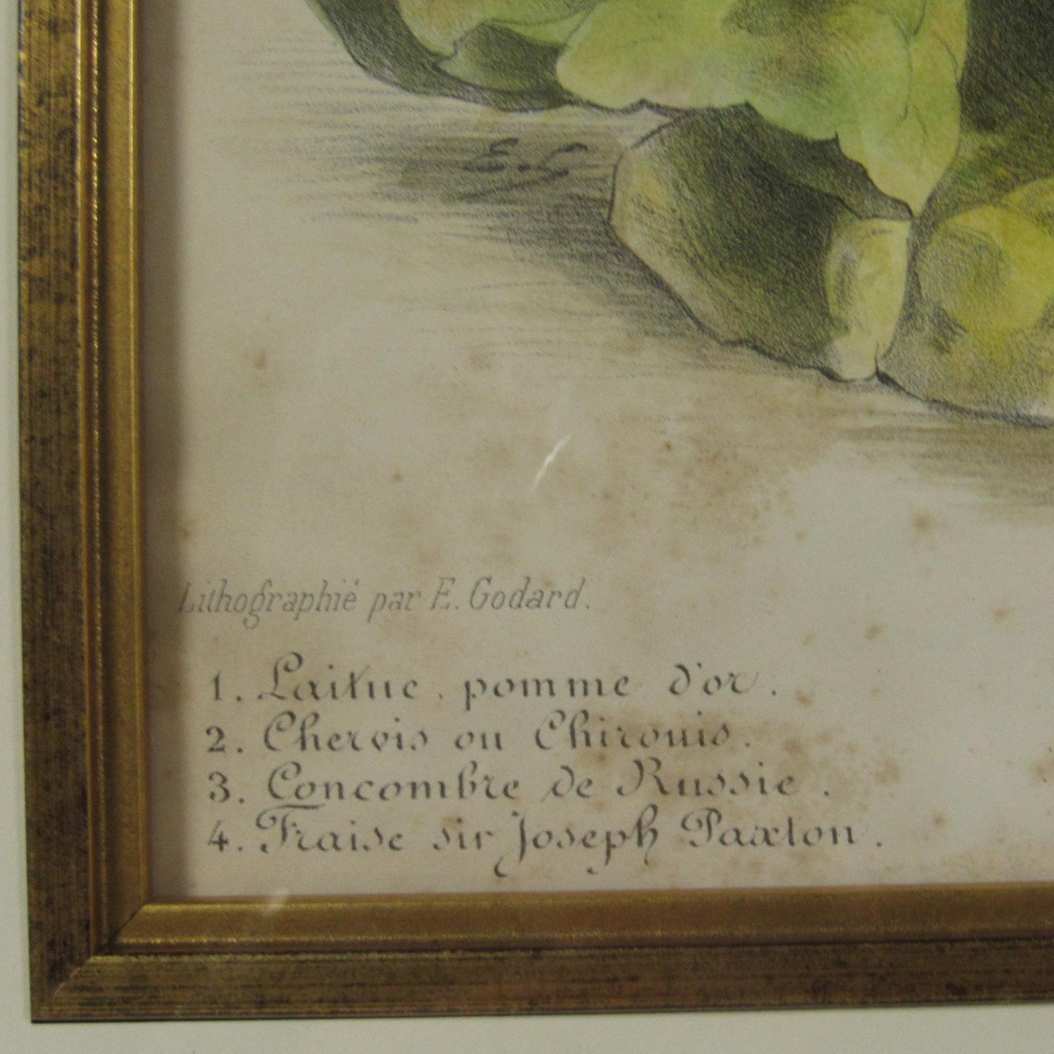 19th century French Lemercier & Cie vegetable poster titled 