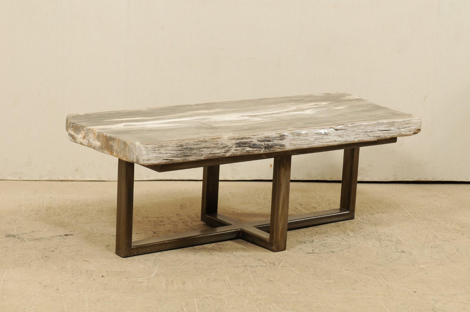 Petrified Wood Slab Bench or Coffee Table with Modern Base (Moderne)