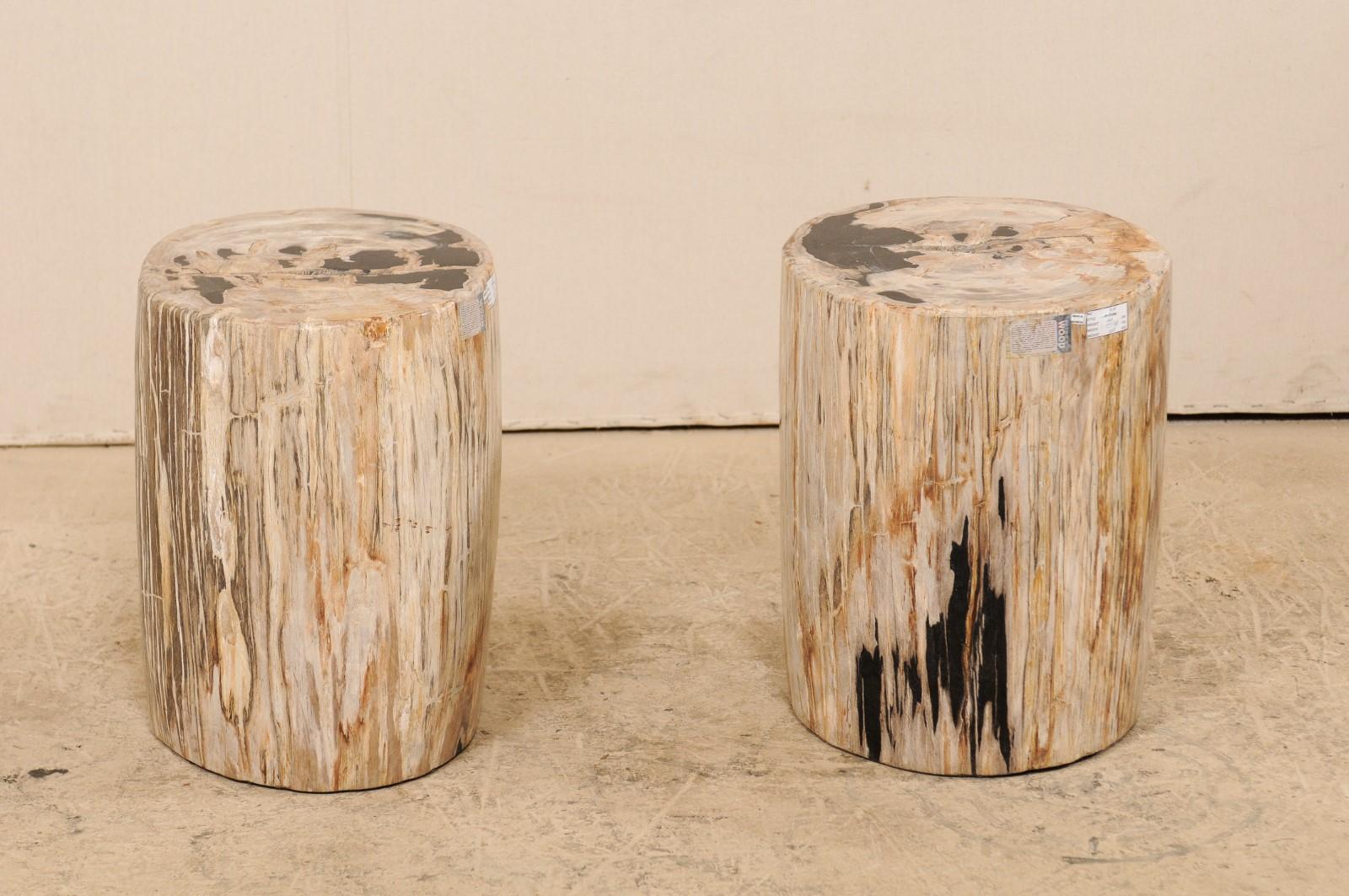 Rustic Pair of Petrified Wood Side Tables or Stools in Beautiful Cream and Black Colors