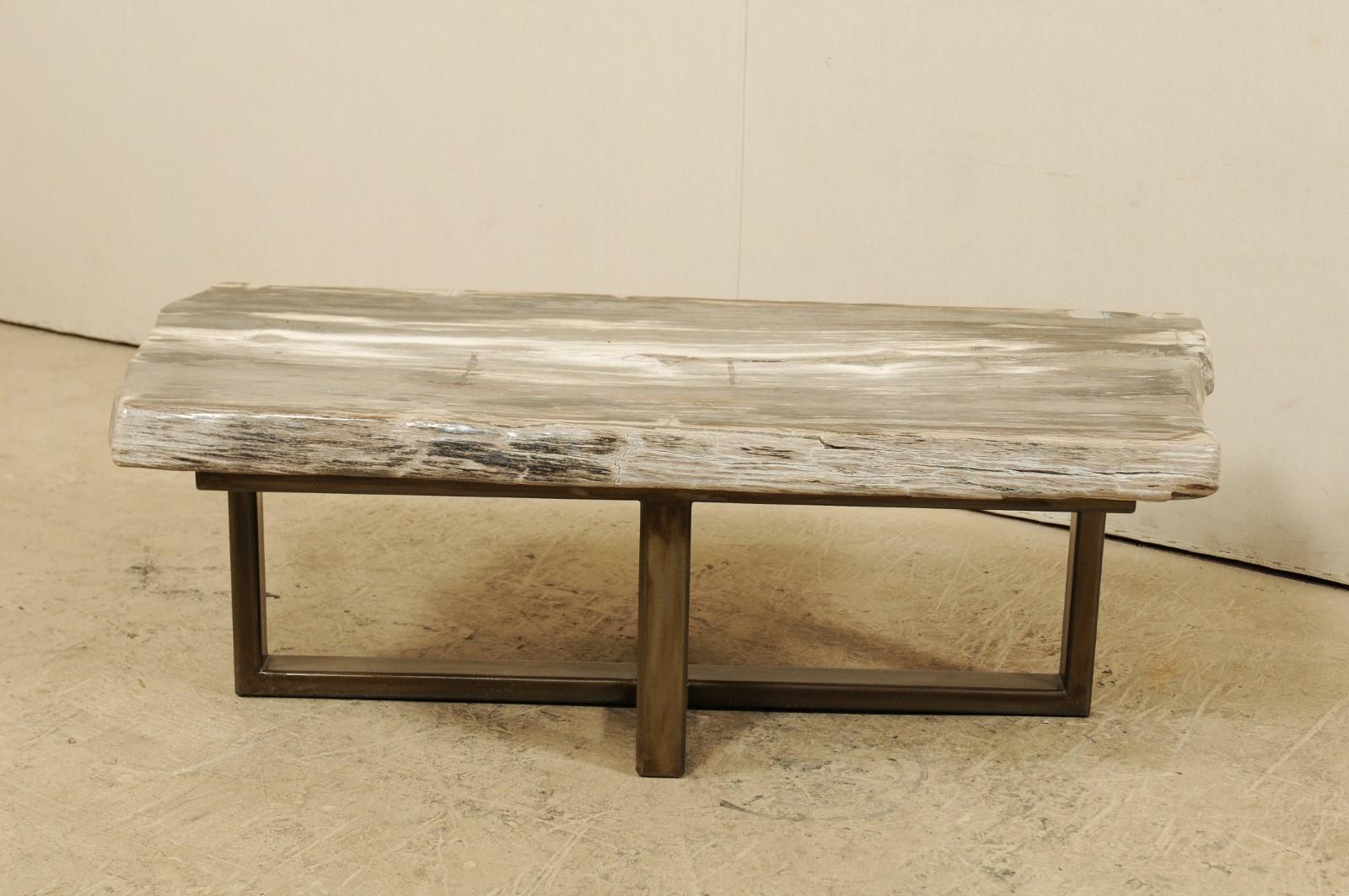 Carved Petrified Wood Slab Bench or Coffee Table with Modern Base