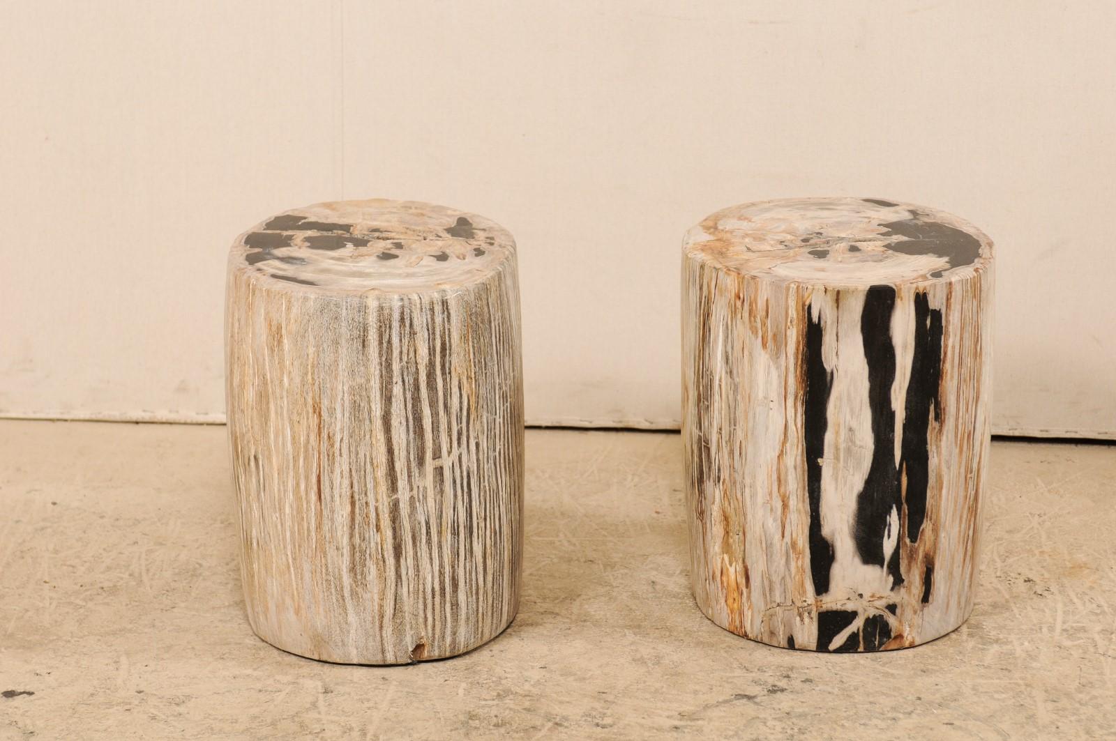 Polished Pair of Petrified Wood Side Tables or Stools in Beautiful Cream and Black Colors