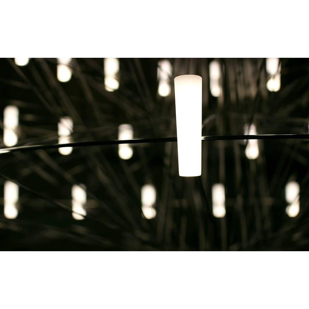 Dutch Moooi Coppélia Large Matte Black LED Suspension Light Fixture with 54 Lamps For Sale