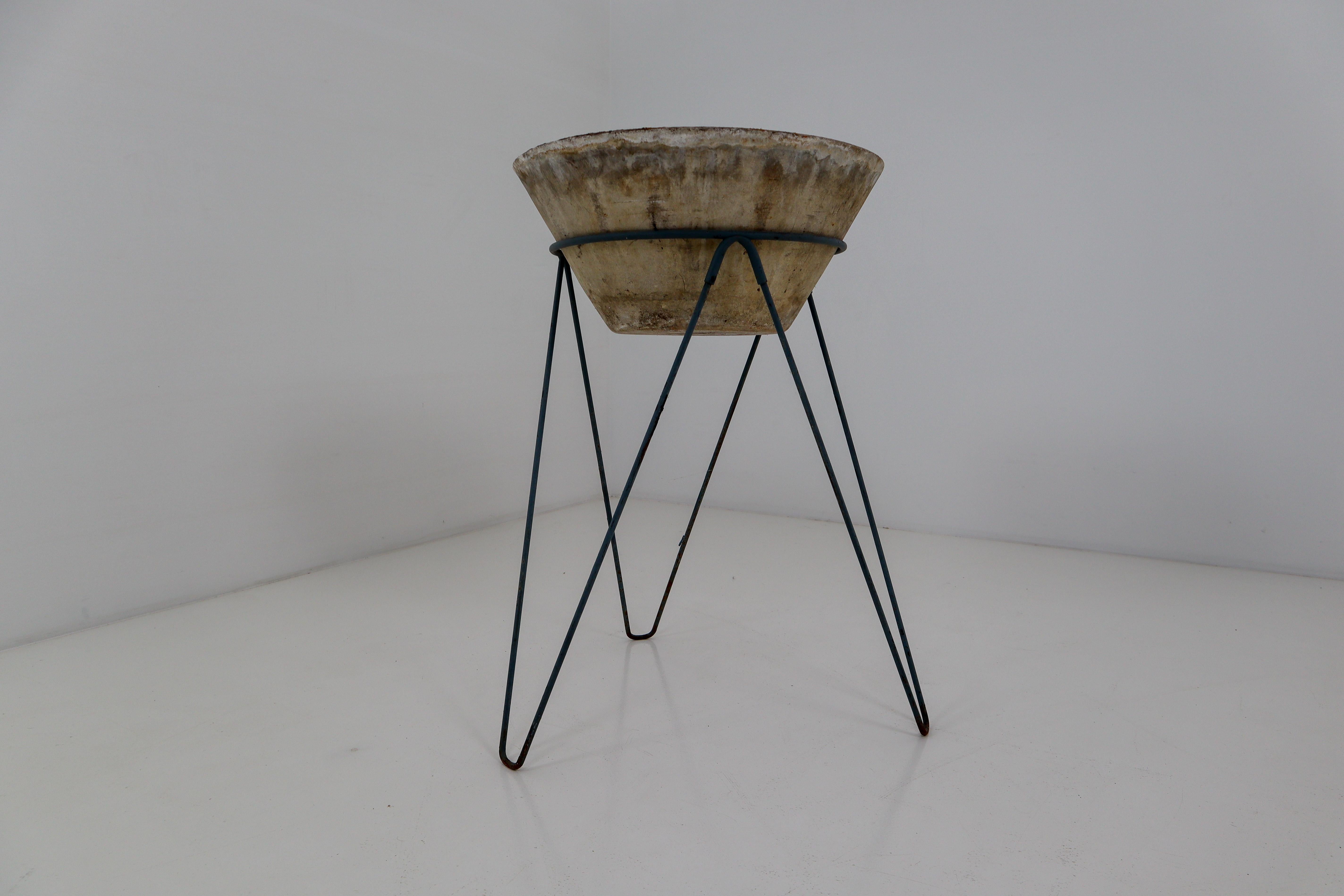 Midcentury Concrete Planter on Metal Base by Willy Guhl, Switzerland, 1950s In Good Condition In Almelo, NL