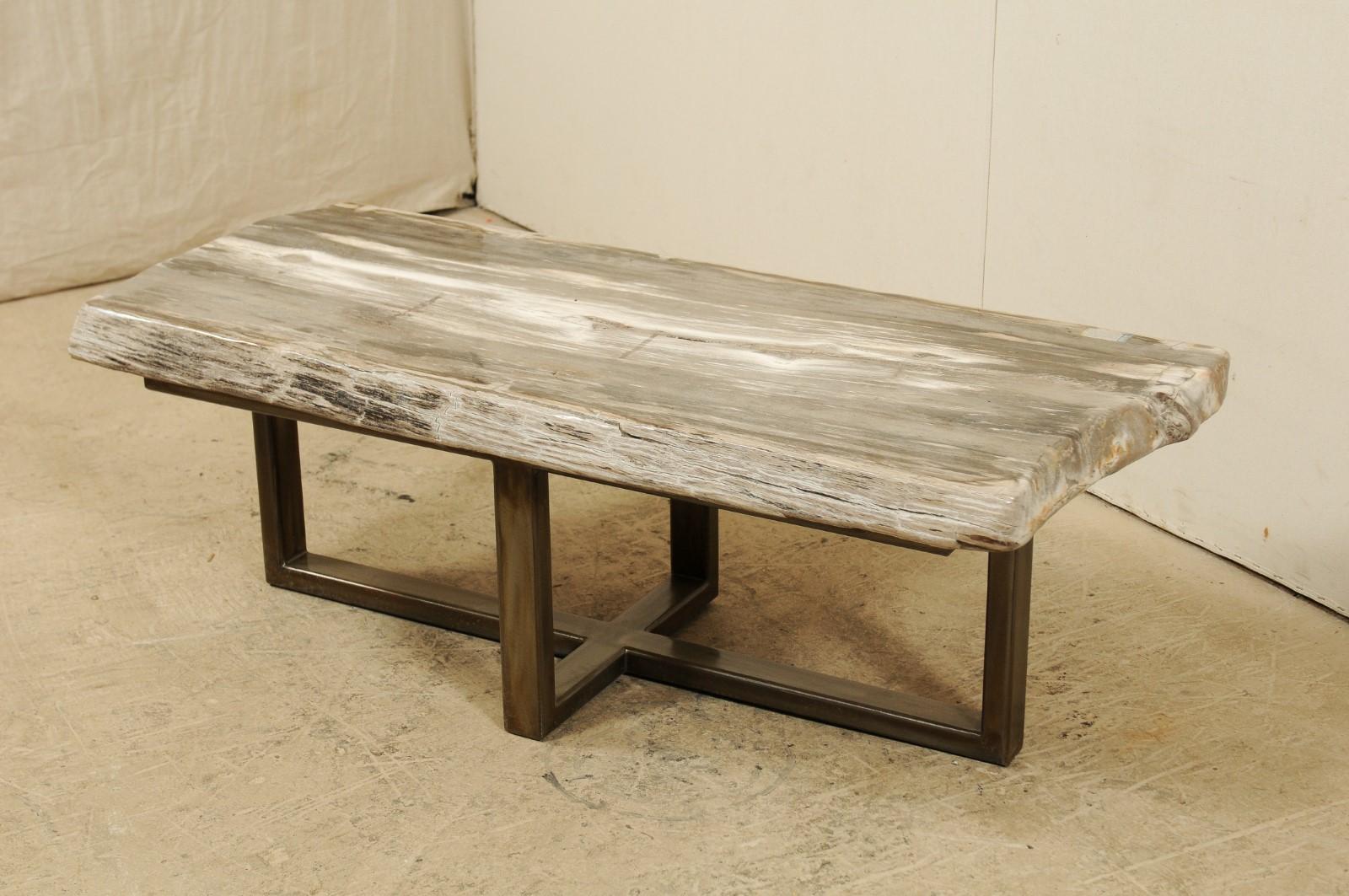 Petrified Wood Slab Bench or Coffee Table with Modern Base In Good Condition In Atlanta, GA