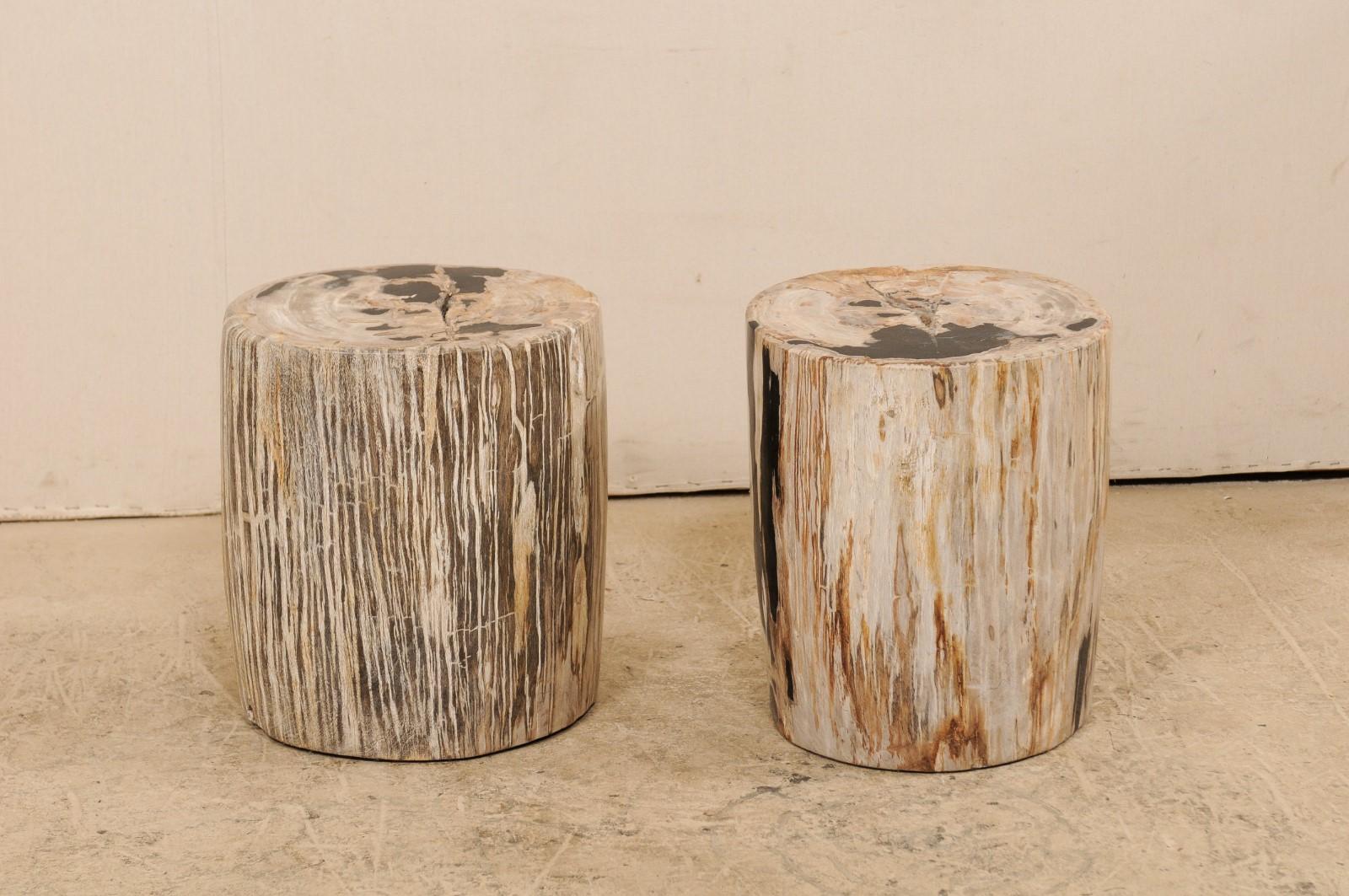Pair of Petrified Wood Side Tables or Stools in Beautiful Cream and Black Colors In Good Condition In Atlanta, GA