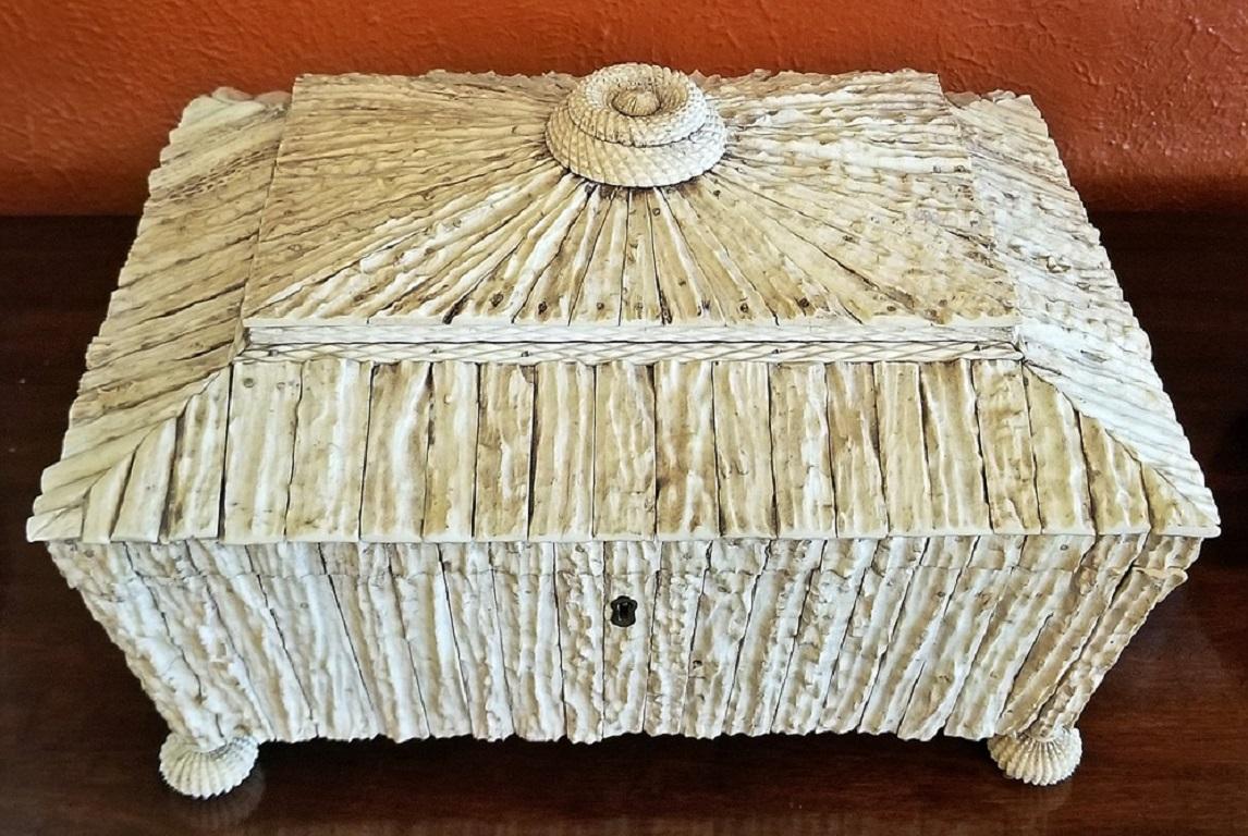 19th Century Anglo Indian Vizagapatam Stag Antler Horn Sewing Box, Exceptional In Good Condition In Dallas, TX