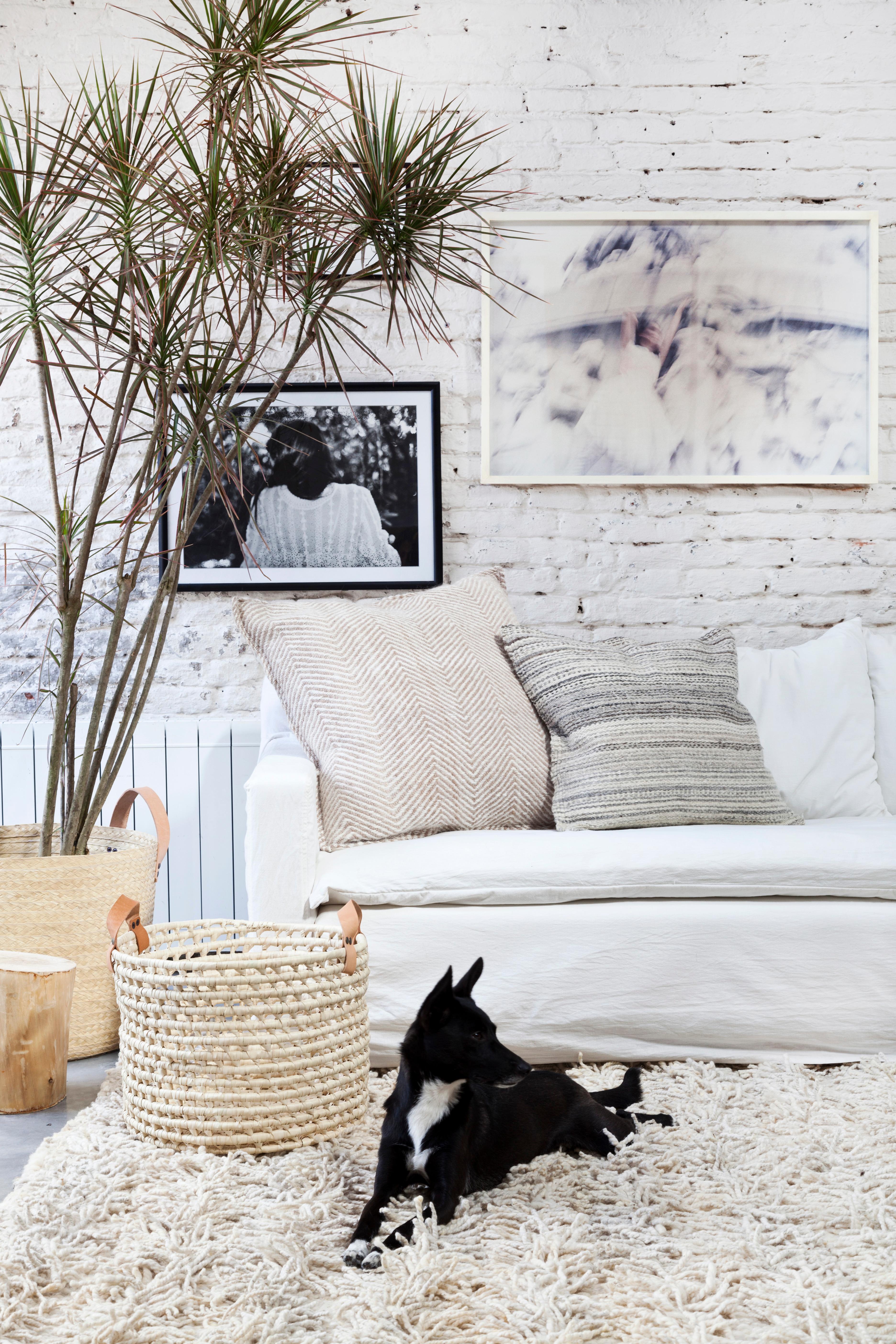 organic modern area rug