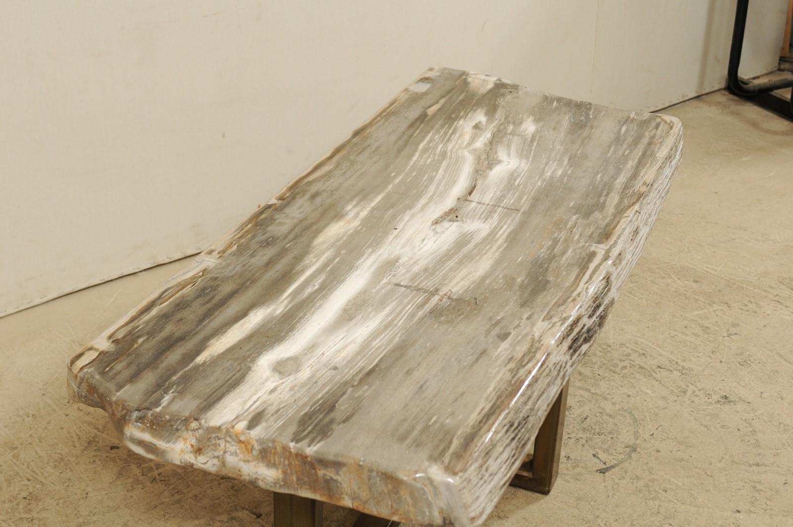 Contemporary Petrified Wood Slab Bench or Coffee Table with Modern Base