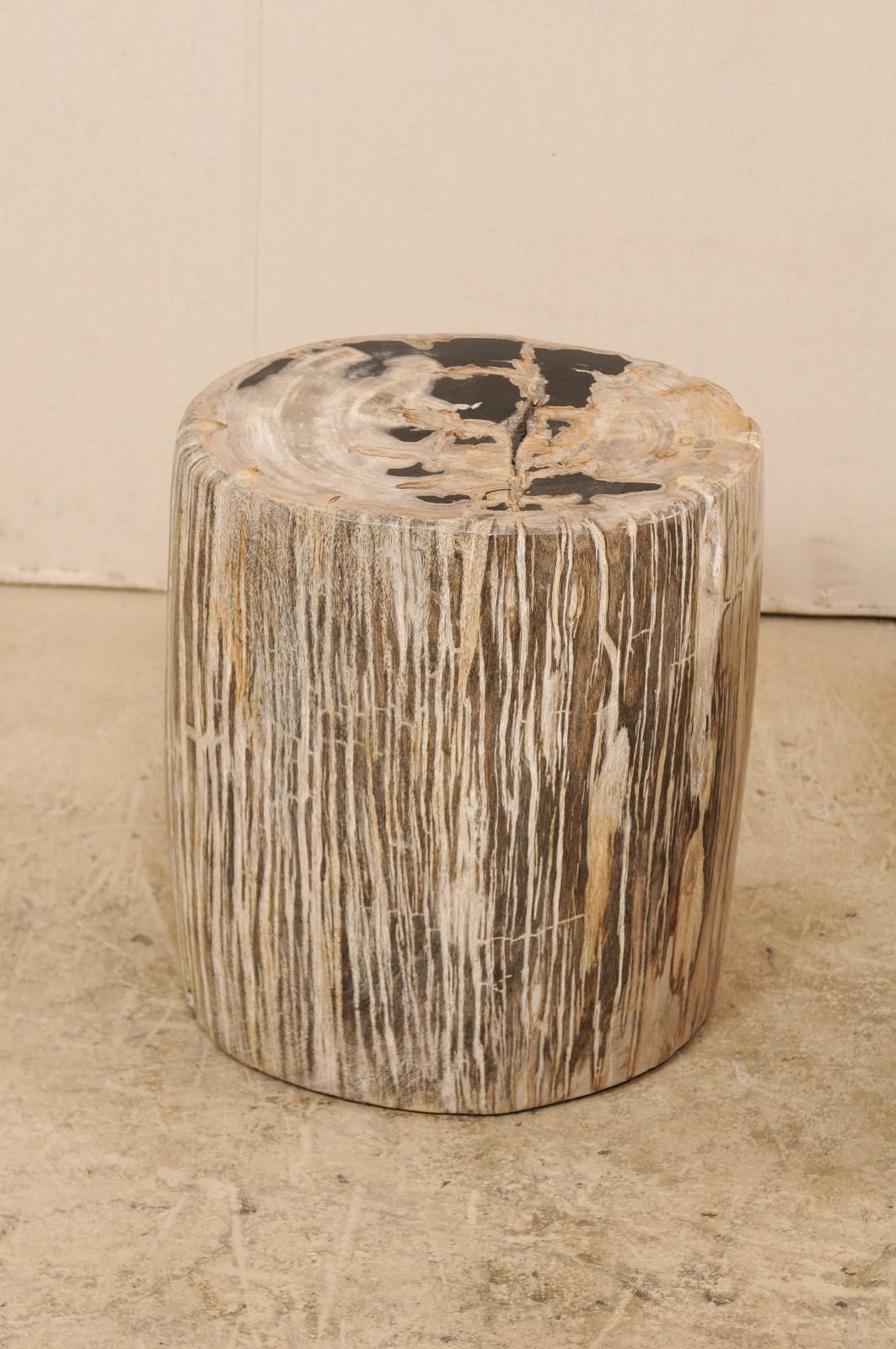 Contemporary Pair of Petrified Wood Side Tables or Stools in Beautiful Cream and Black Colors