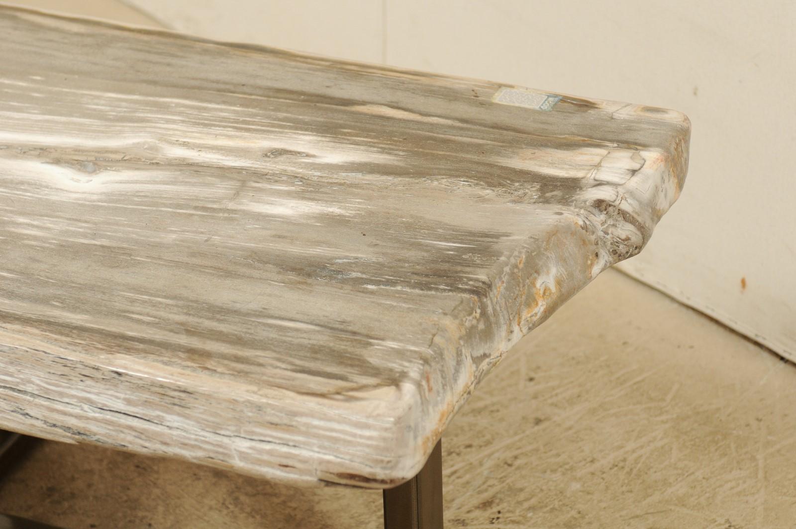 Iron Petrified Wood Slab Bench or Coffee Table with Modern Base