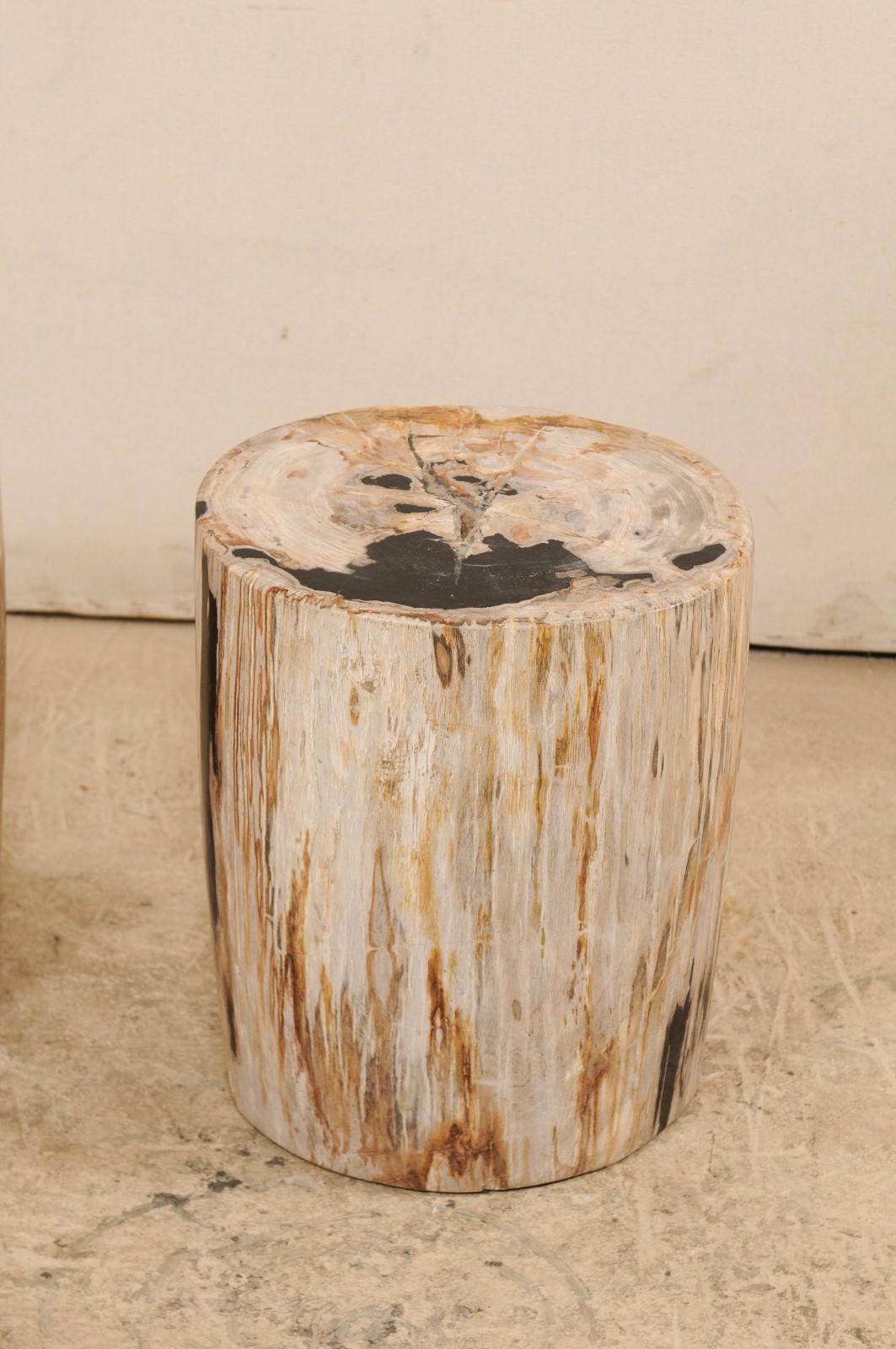 Pair of Petrified Wood Side Tables or Stools in Beautiful Cream and Black Colors 1