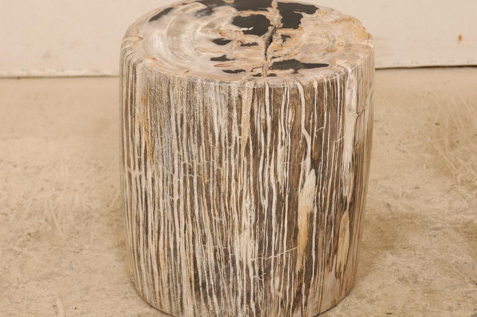 Pair of Petrified Wood Side Tables or Stools in Beautiful Cream and Black Colors 2