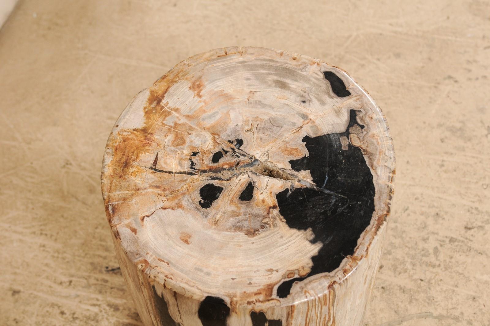 Pair of Petrified Wood Side Tables or Stools in Beautiful Cream and Black Colors 3
