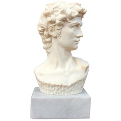 Cast Stone Bust of David after Michelangelo