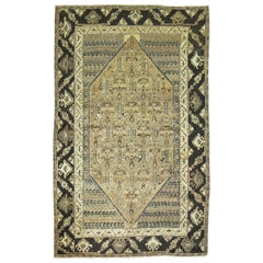 Earth Toned Turkish Rug