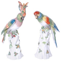 Pair of Porcelain Parrots