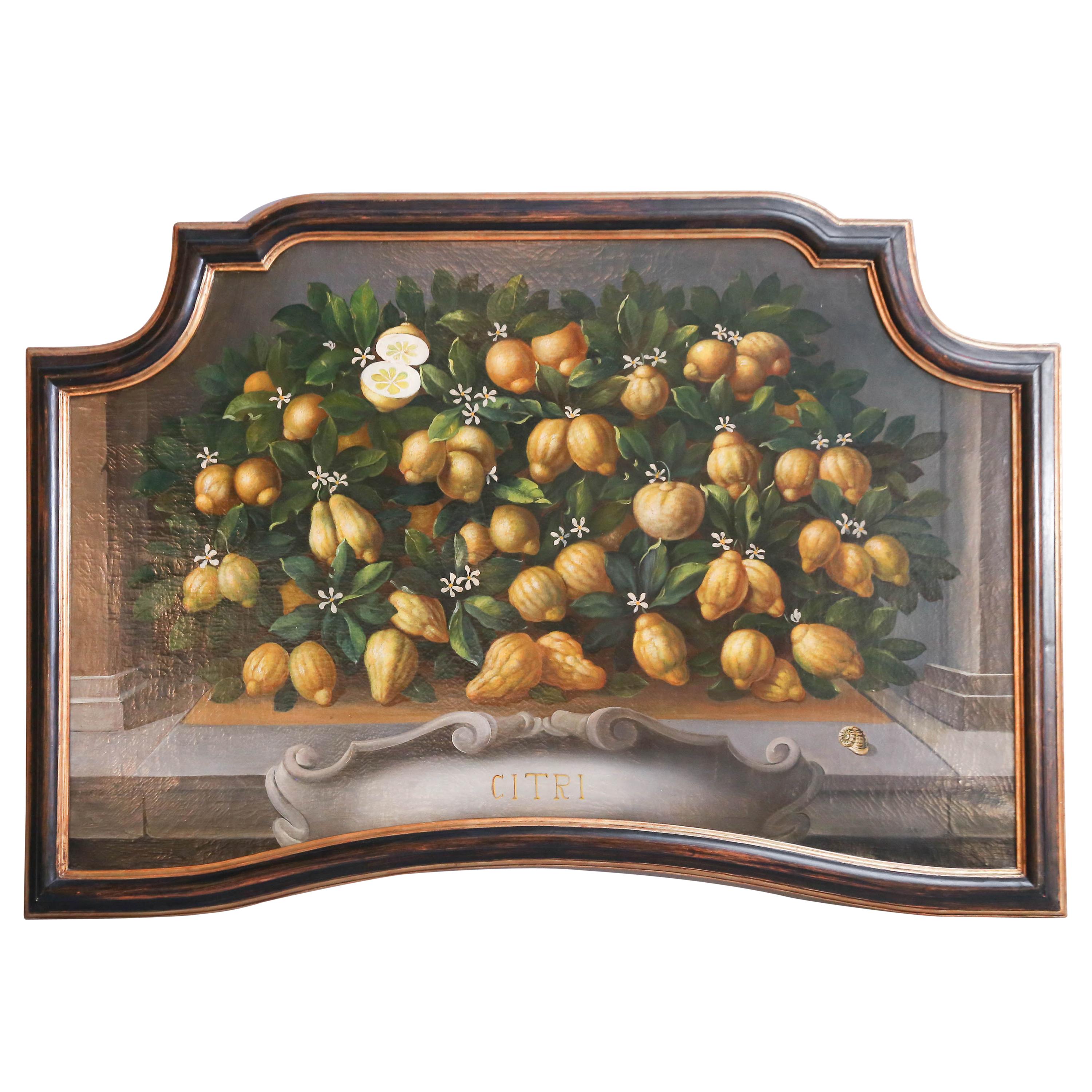 Medici-Style Painting of Lemons on Branches 