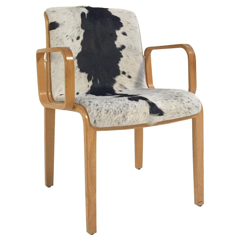 Vintage Bill Stephens for Knoll Chair Restored in Brazilian Cowhide