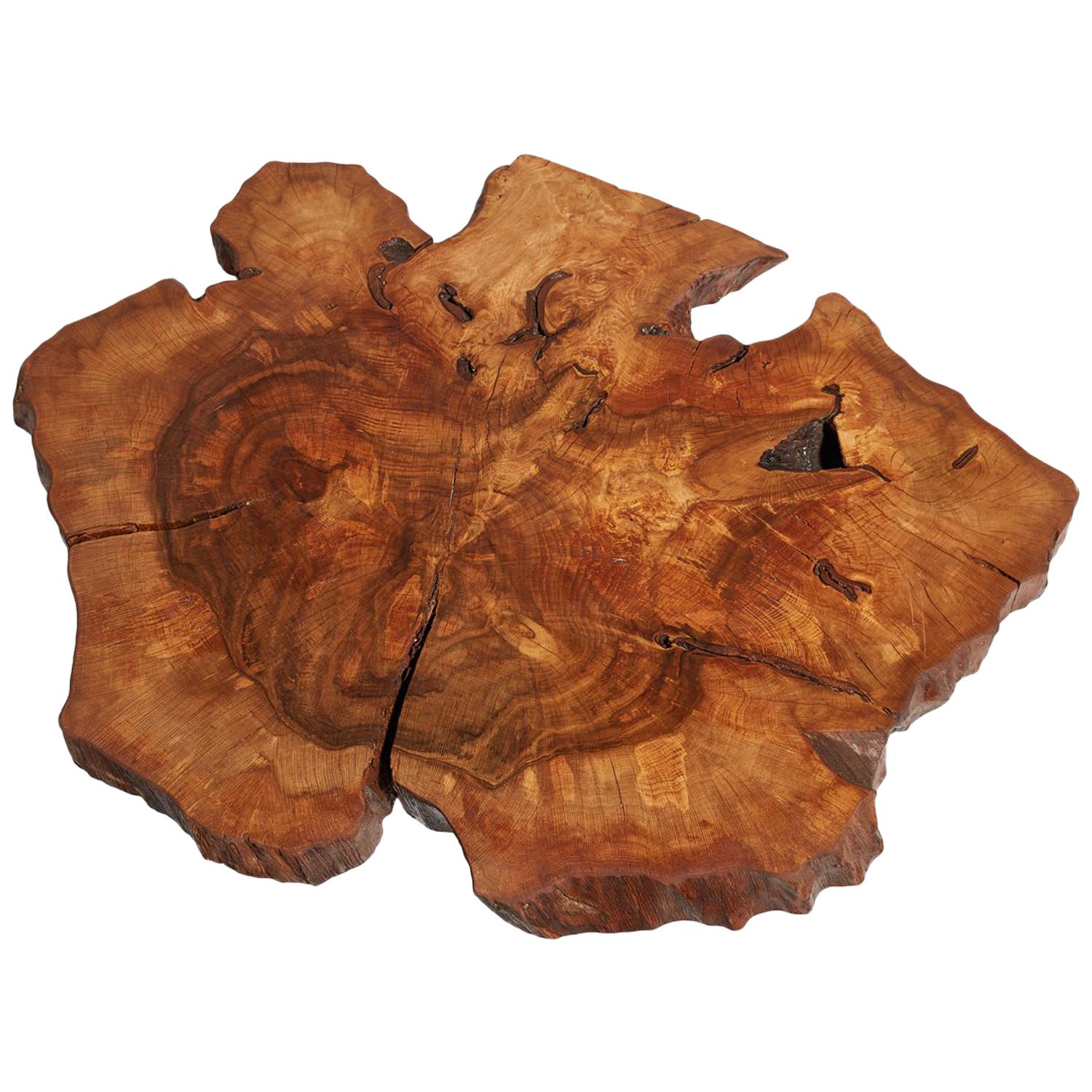 Hornbeam Tree Live Edge Coffee Table, Live Edge Table, Rustic Edge End Table For Sale