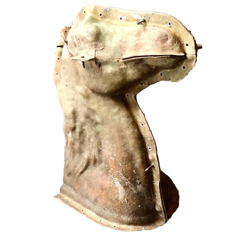 Lifesize Fiberglass Horse Head Mold For Sale at 1stDibs