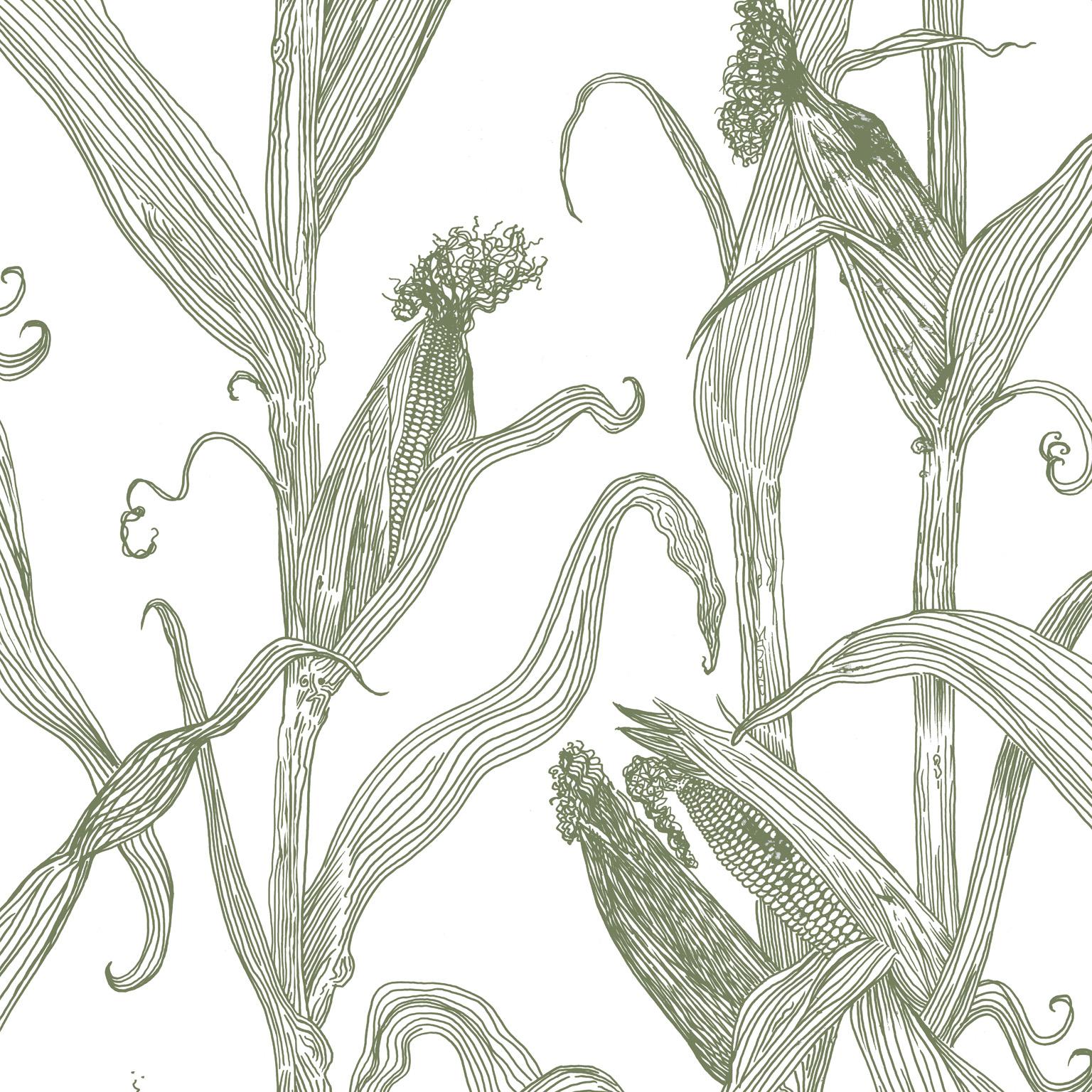Mais-Green on White-Corn Printed Wallpaper For Sale