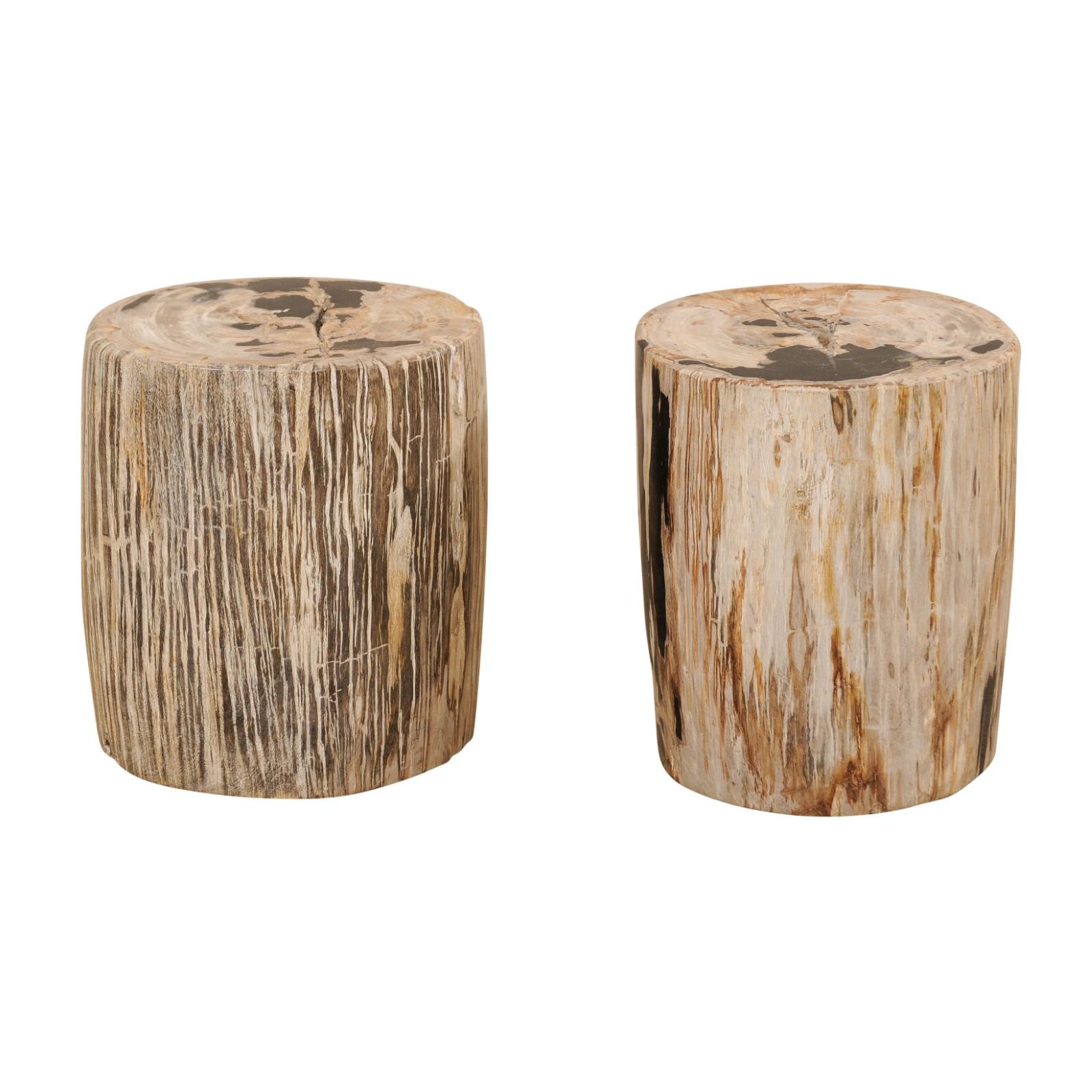 Pair of Petrified Wood Side Tables or Stools in Beautiful Cream and Black Colors