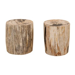 Paire de tables d'appoint ou tabourets en bois pétrifié dans de belles couleurs crème et noires