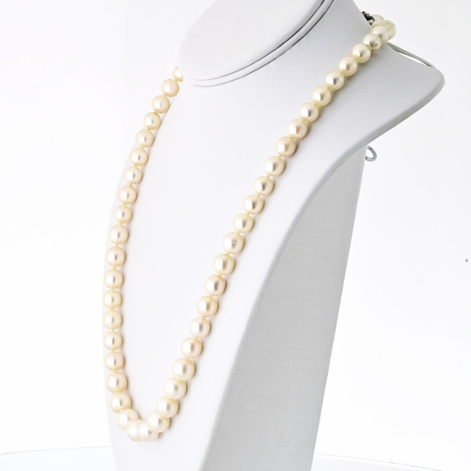 Modern David Webb Platinum Pearl Necklace Strand With A Diamond Clasp For Sale
