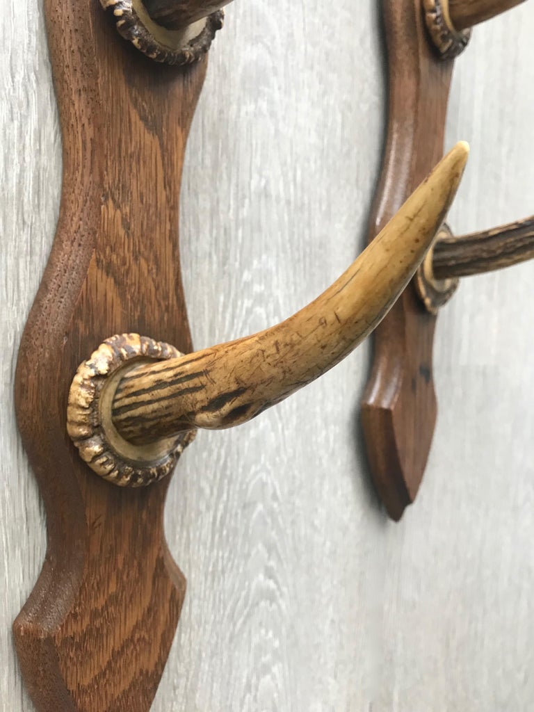 Antique Oak Three Rifle Rack / WallMounted Gun Display w. Dachshund Sculptures at 1stDibs